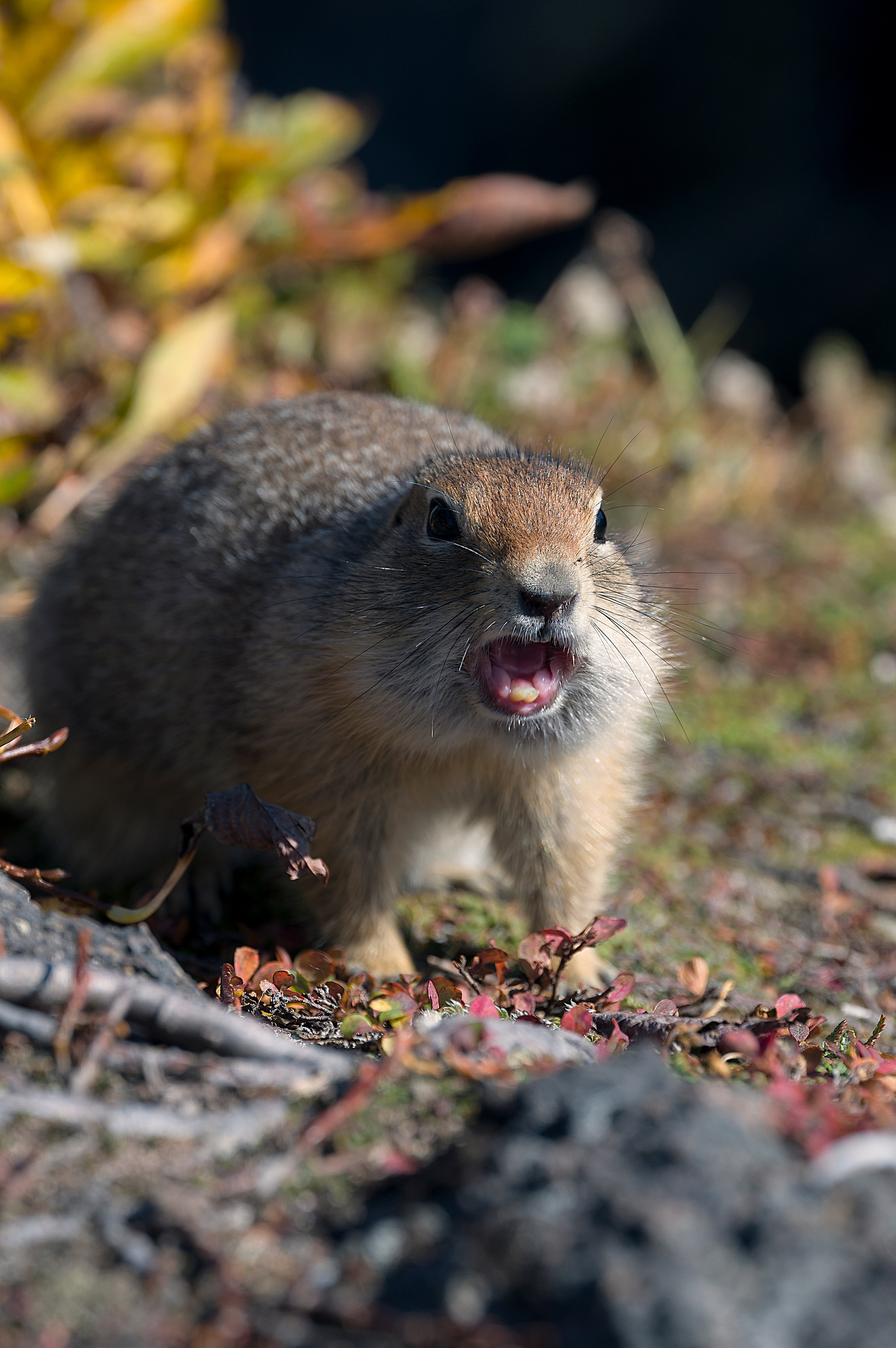 Камчатка. Портретный фотограф в Челябинске Катерина Руди