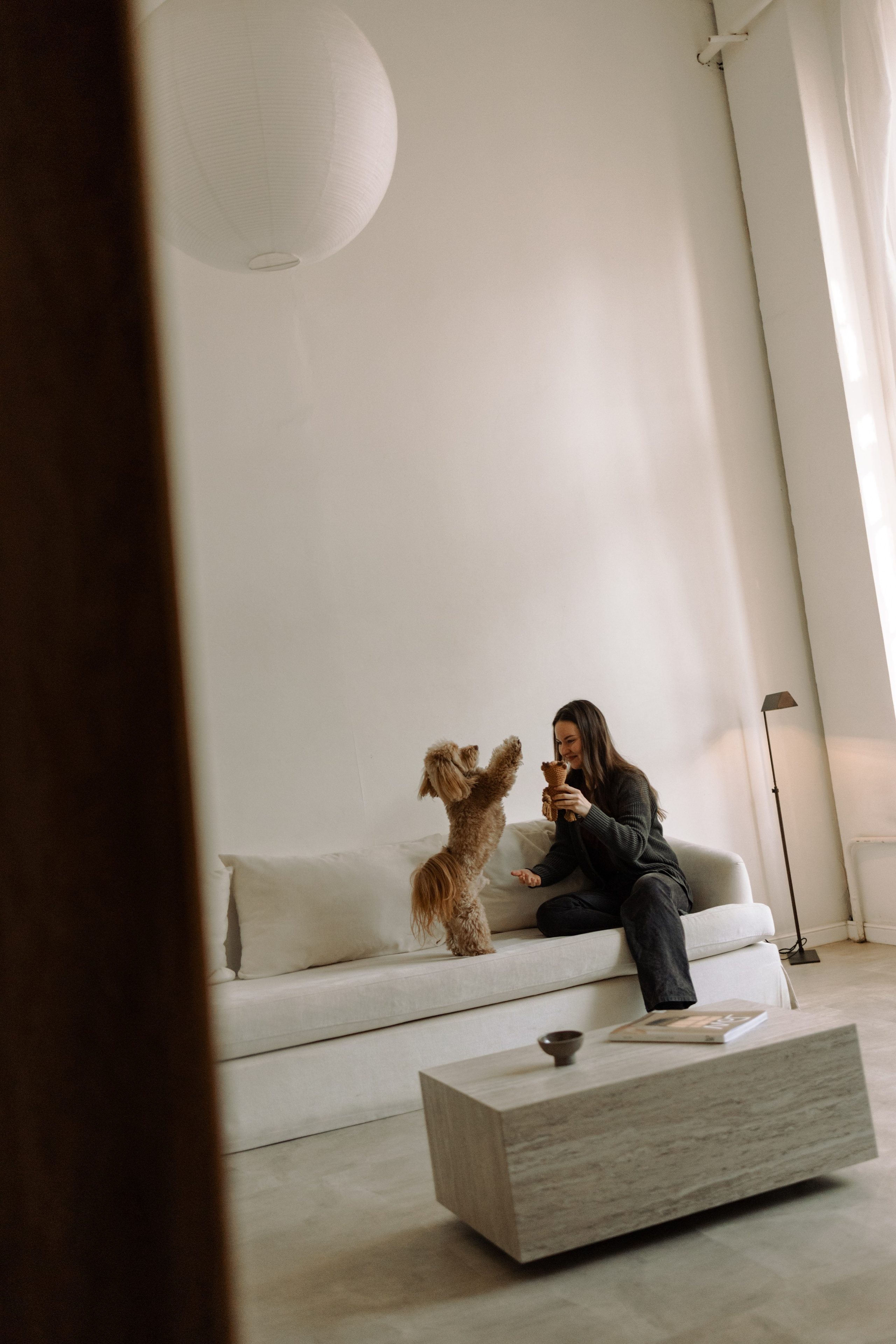 Шкипер и его семья. Фотограф — Анималист | Санкт-Петербург