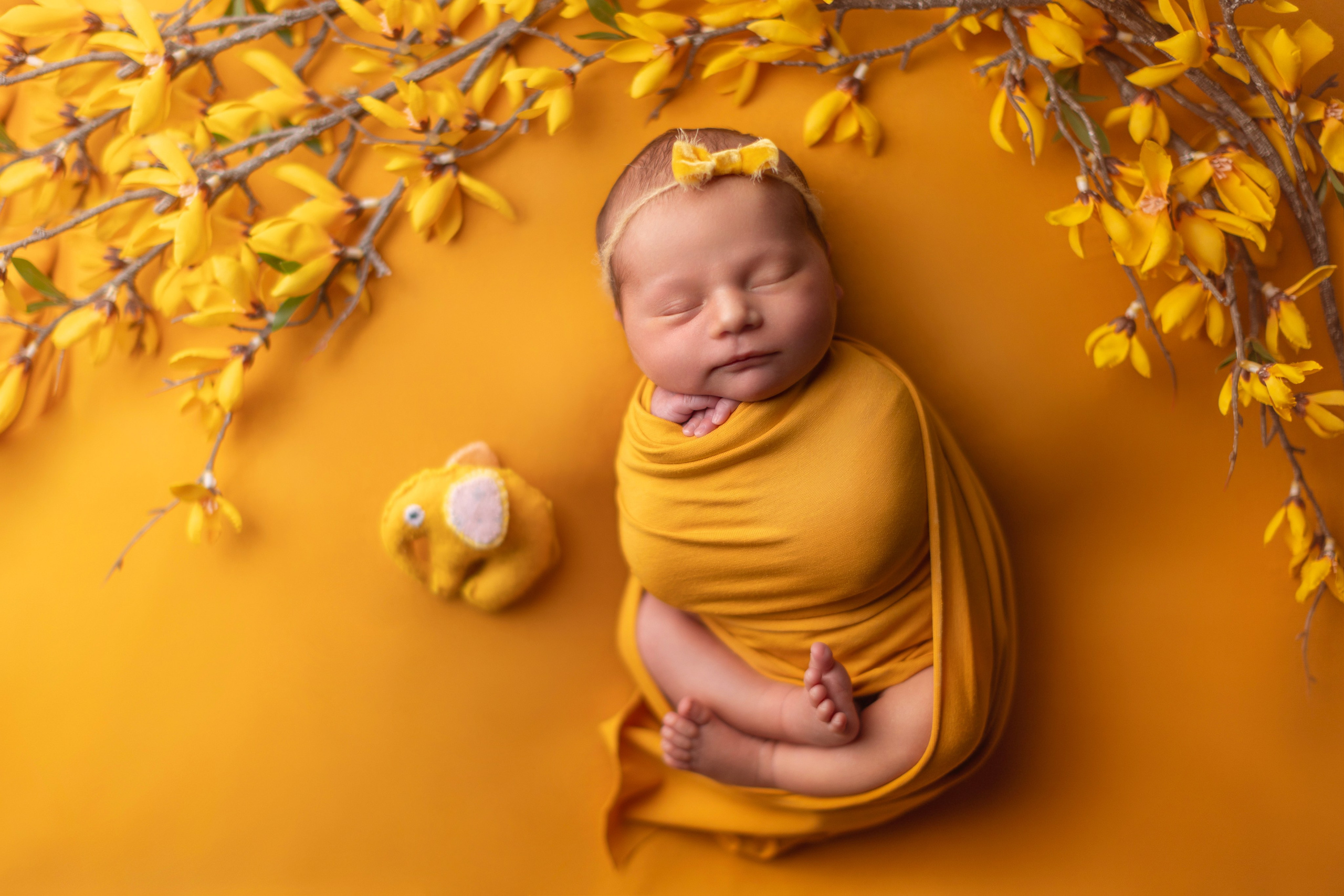 Sunshine. Фотограф новорожденных, семейный фотограф в Санкт-Петербурге