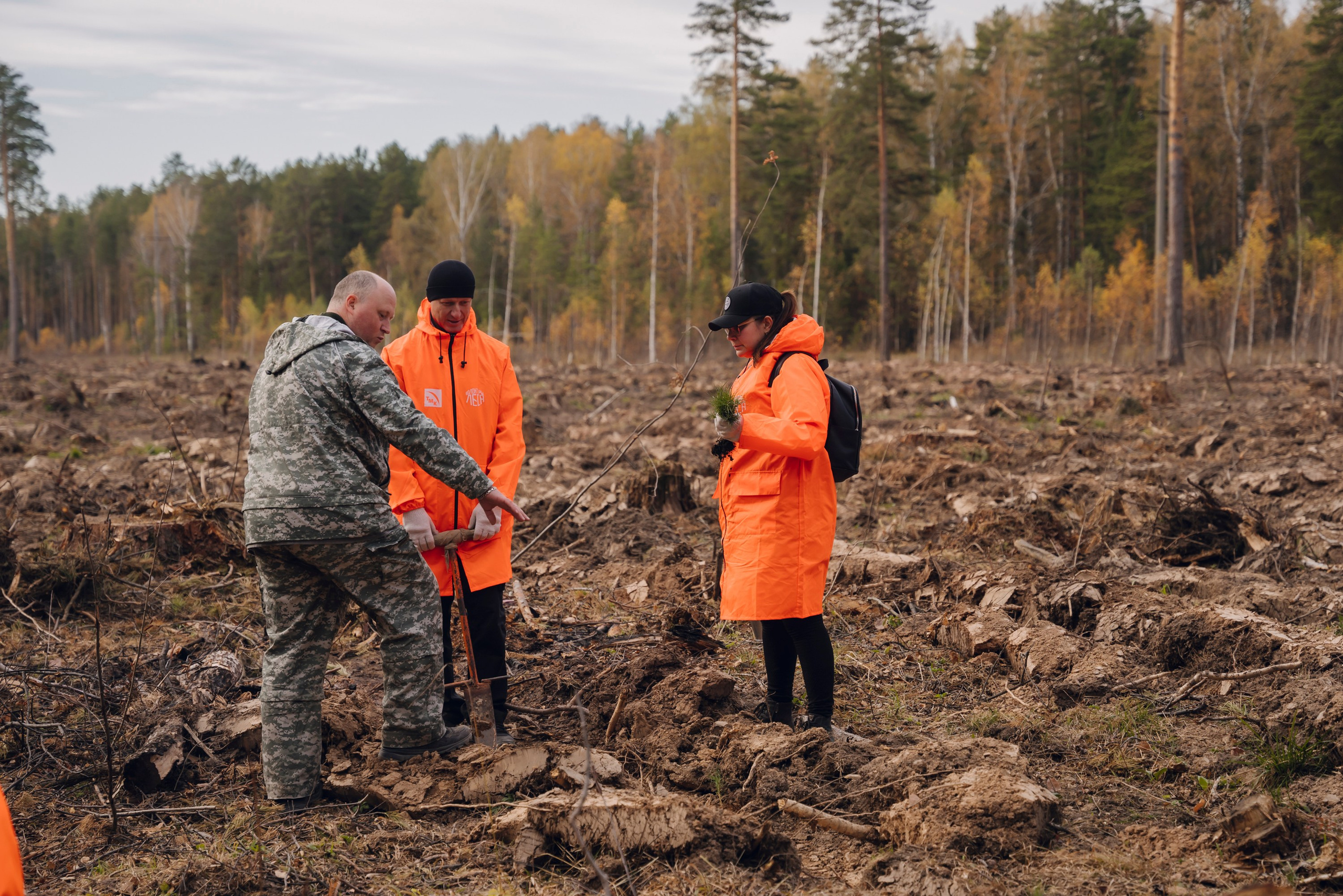 Дневные события. Geometria