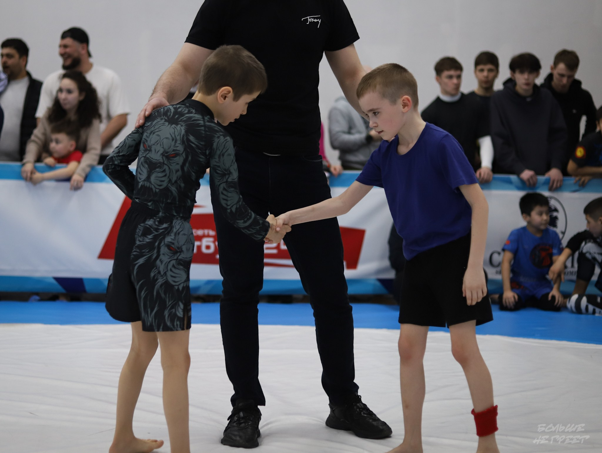 GORILLA PRIDE CUP. Больше не греет