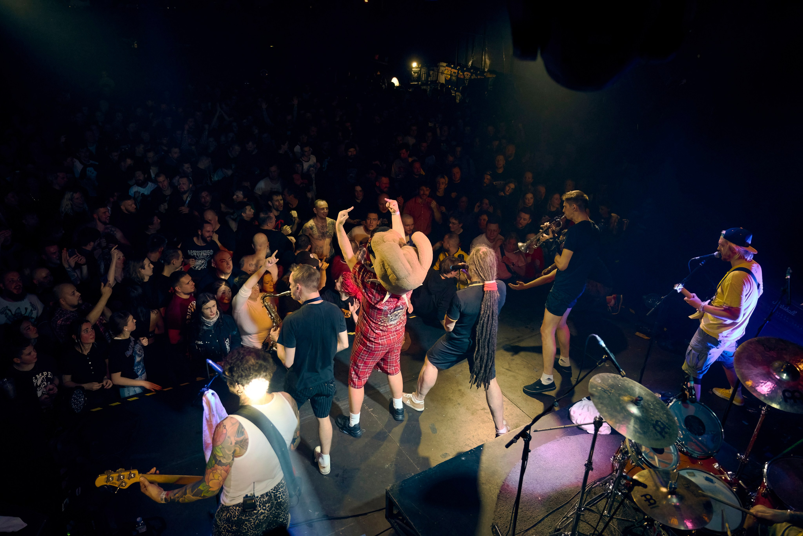 DISTEMPER / AGLOMERAT / 24.11.2023. Ekhovanov | фото- видеосъемка