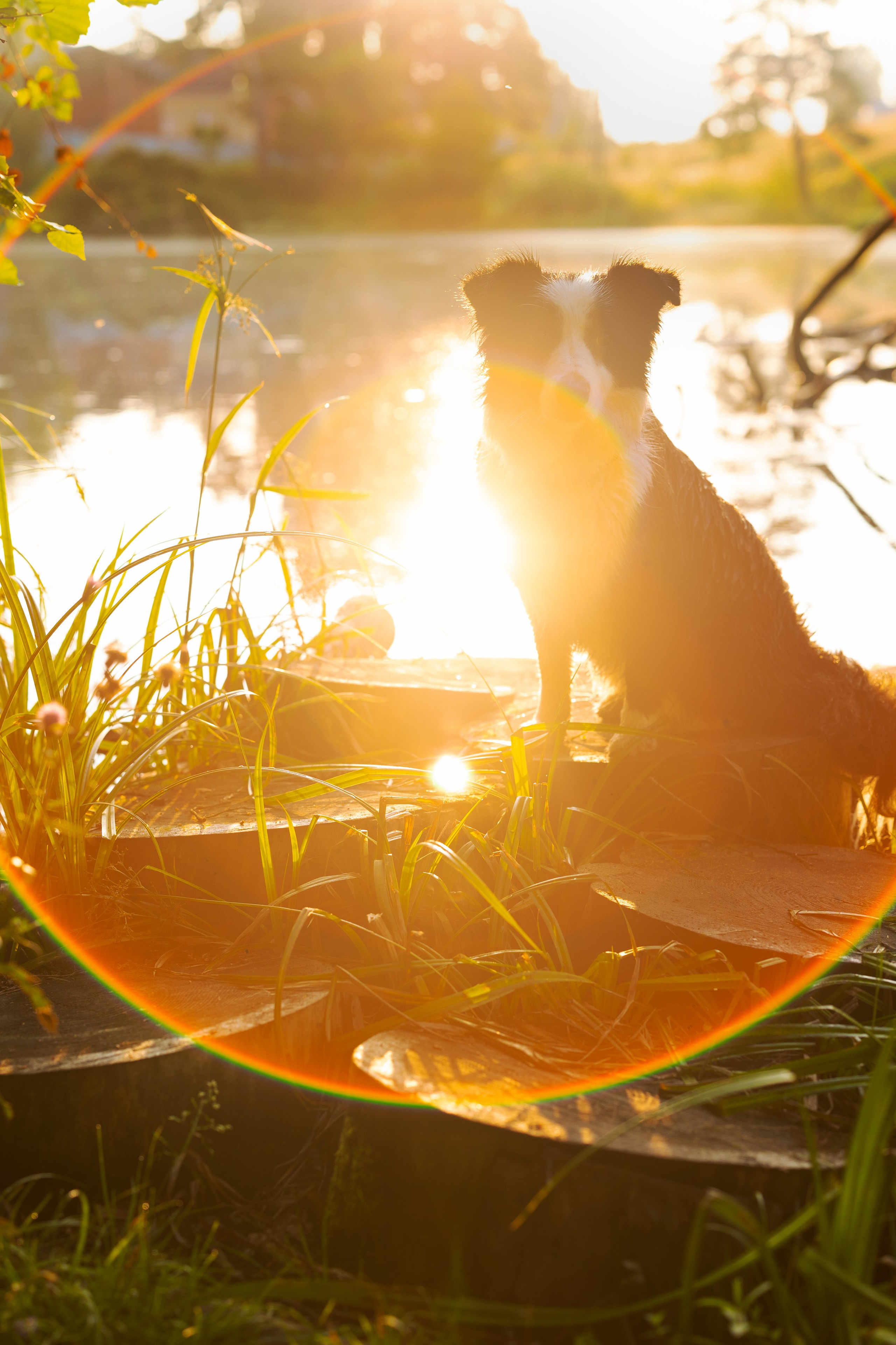 PRO АЛЬБОМ | Выпускные альбомы Иваново Ярославль