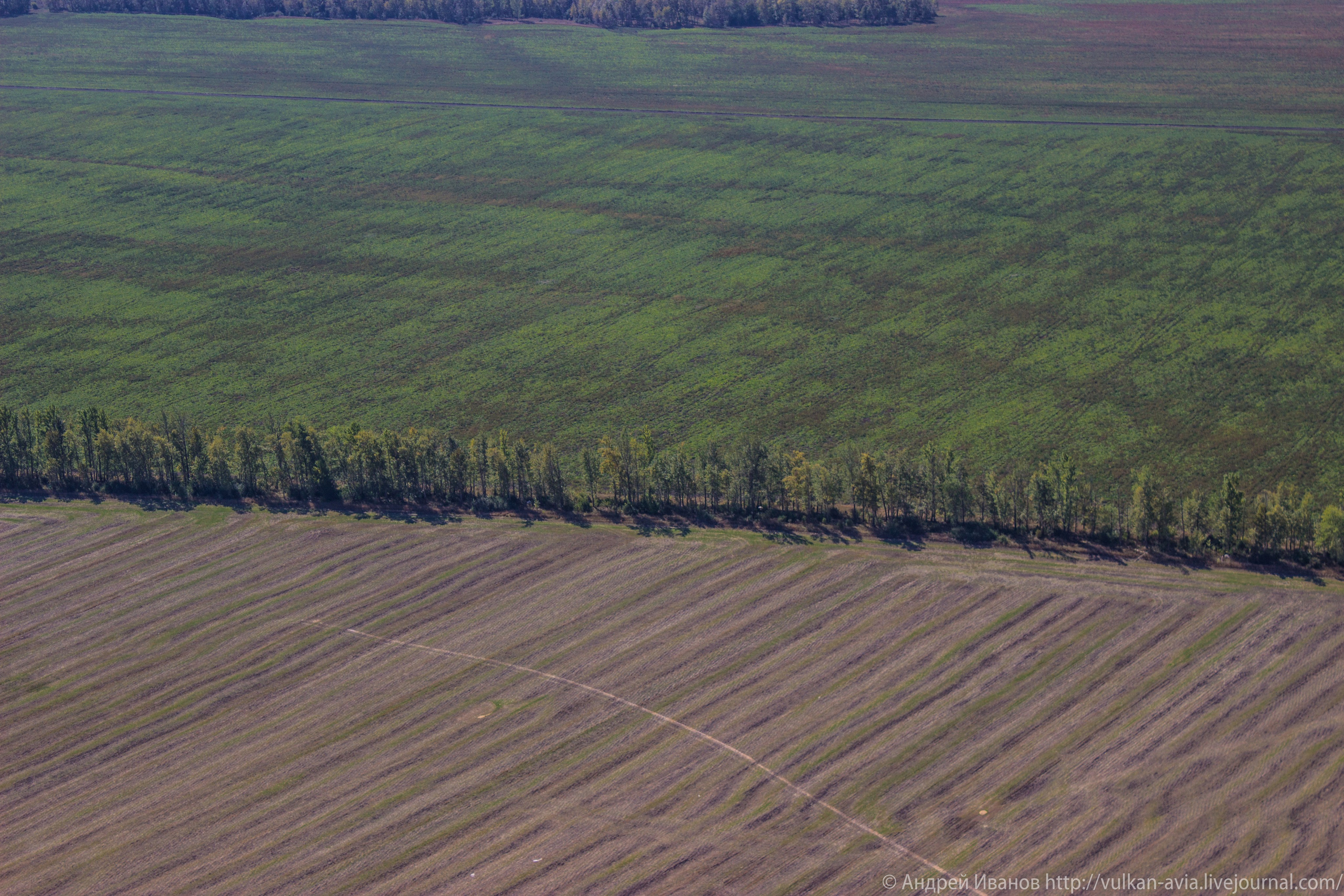 Волгодонск аэр. Потапов слёт «Небо для всех» (2021 г.). Фотоальбом показывающий увлекательный мир авиации и мир медведей Андрея Иванова