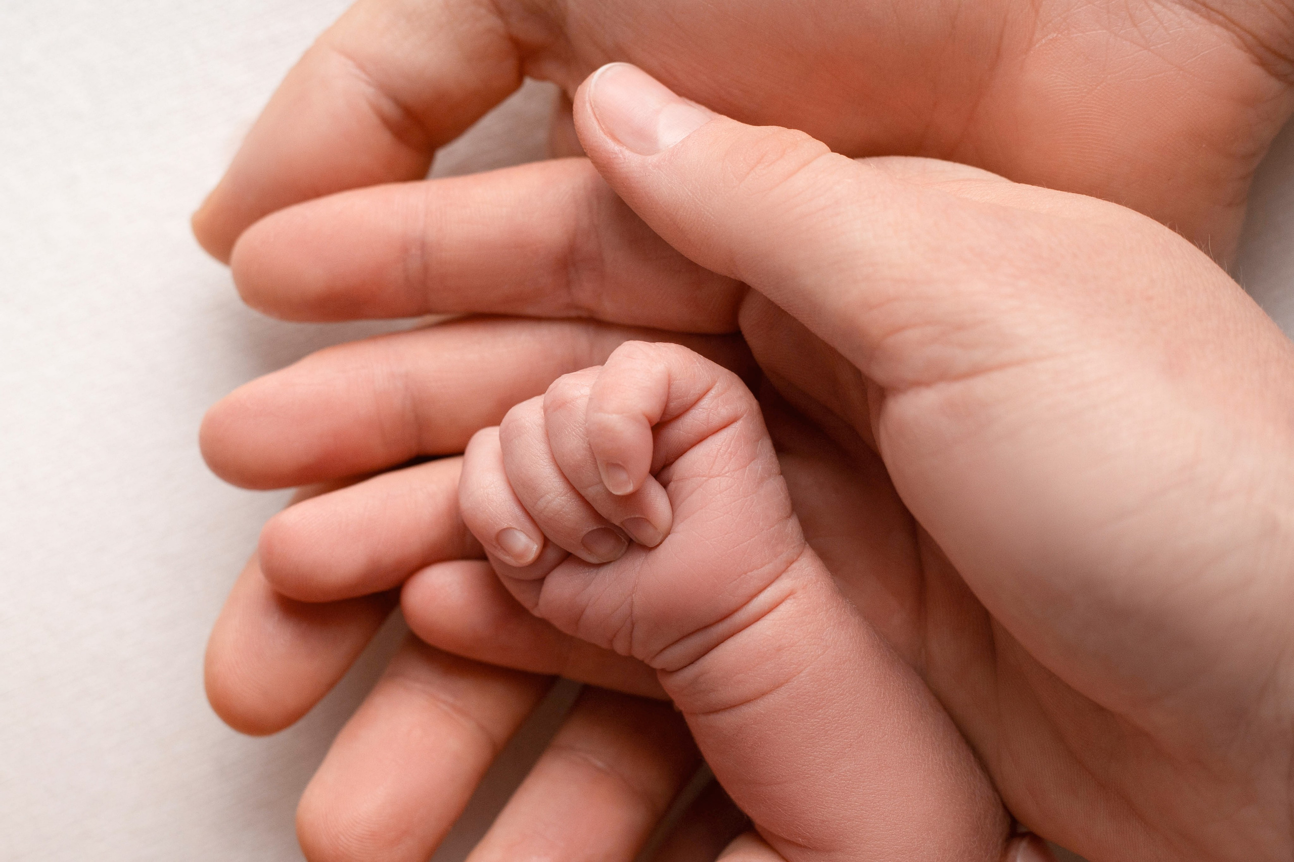 Фотограф новорожденных портфолио. Фотограф новорожденных в Москве. Фотосессия новорожденных в Москве