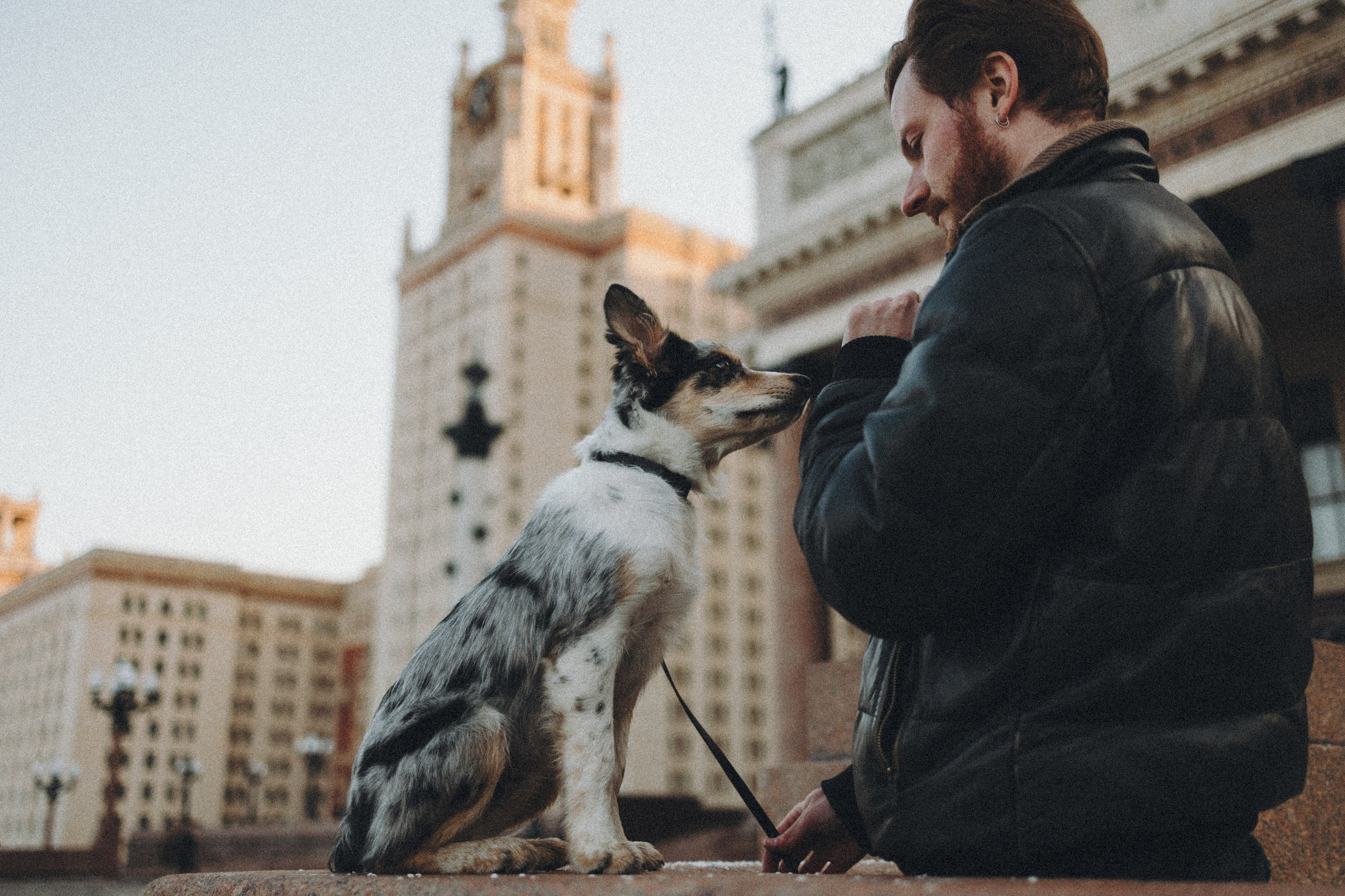 Балу и Илья. Фотограф анималист Анастасия Пикей