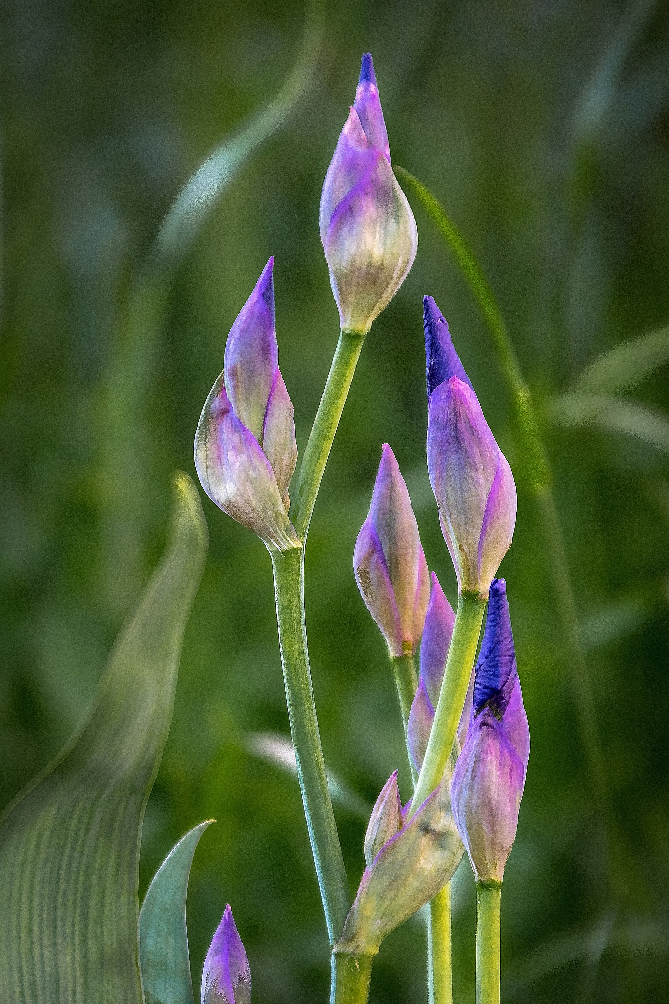 Наша мать — природа. Фотограф Владимир Артамонов