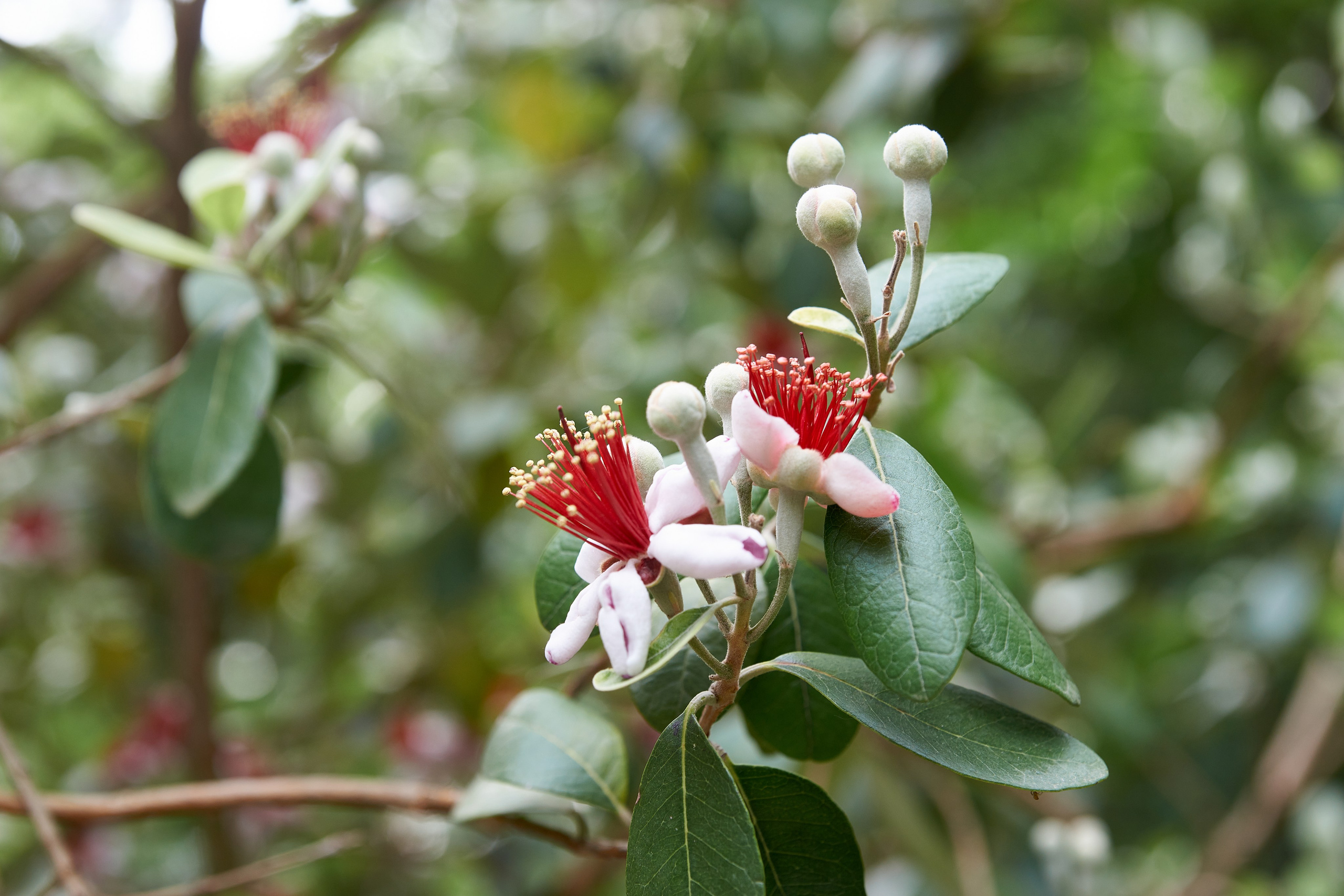 Наша мать — природа. Фотограф Владимир Артамонов