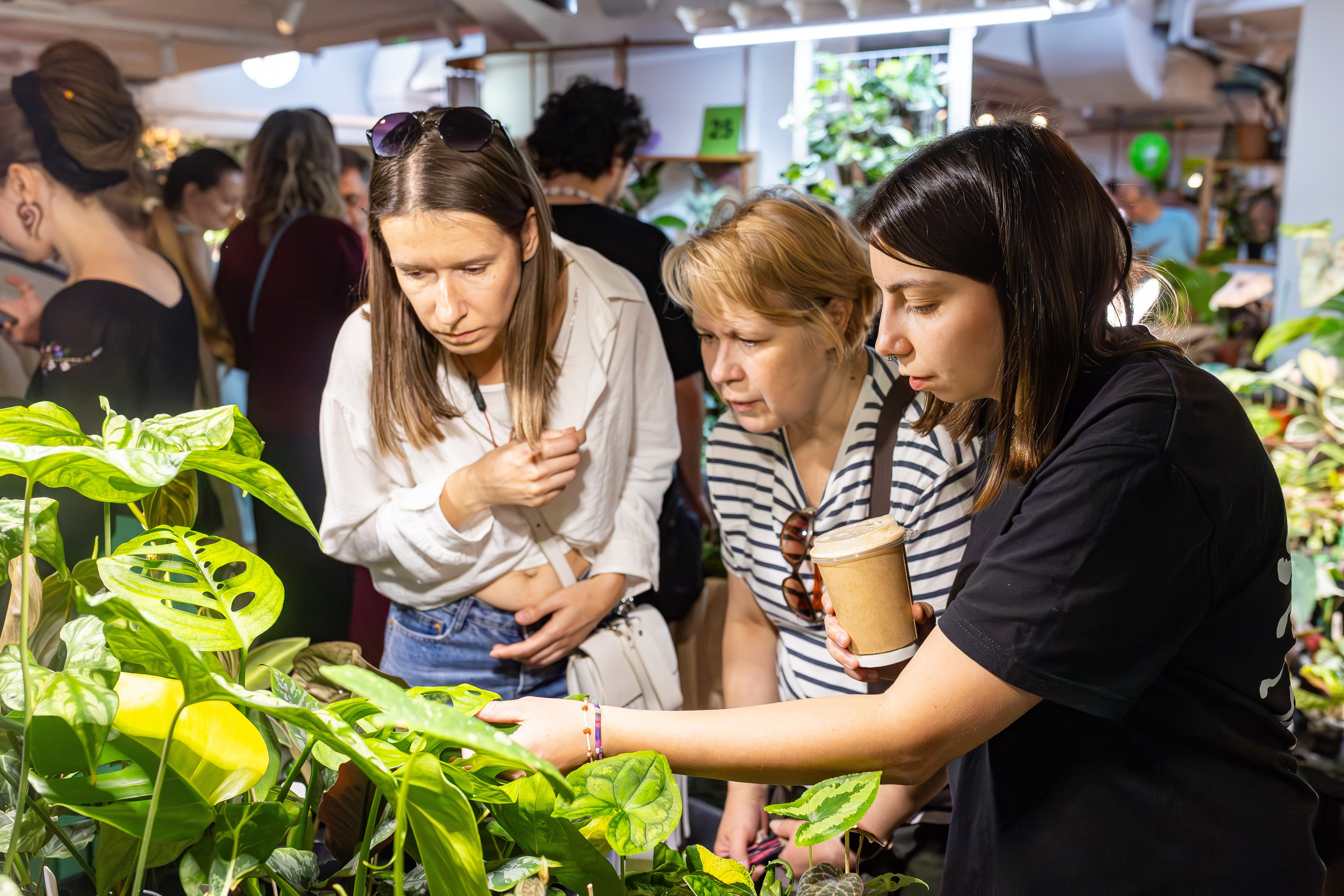 Growbox 5лет. Александра Куликова фотограф, Москва