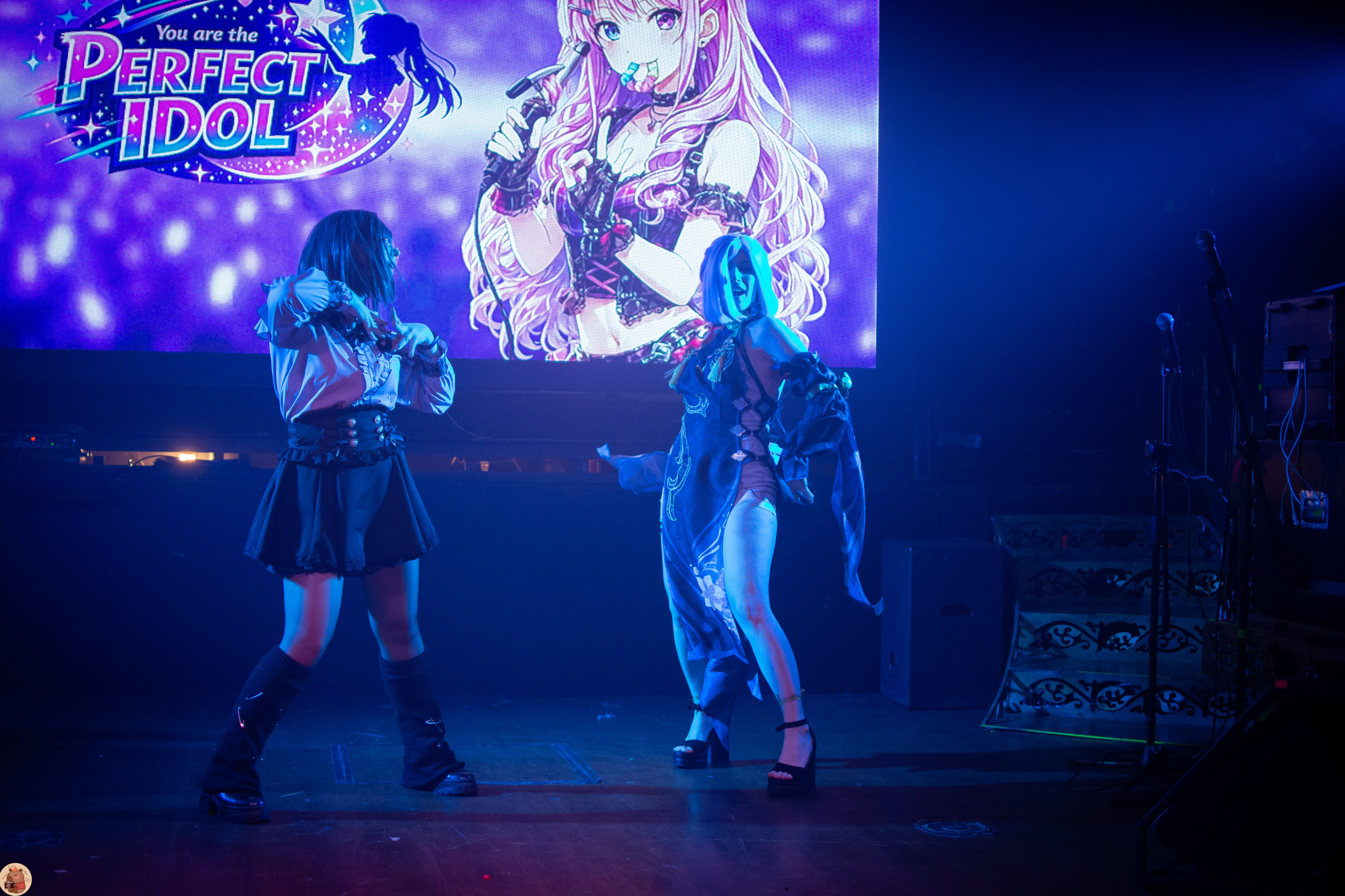 Hanami Party: You are the perfect idol. Пруд Капибарки