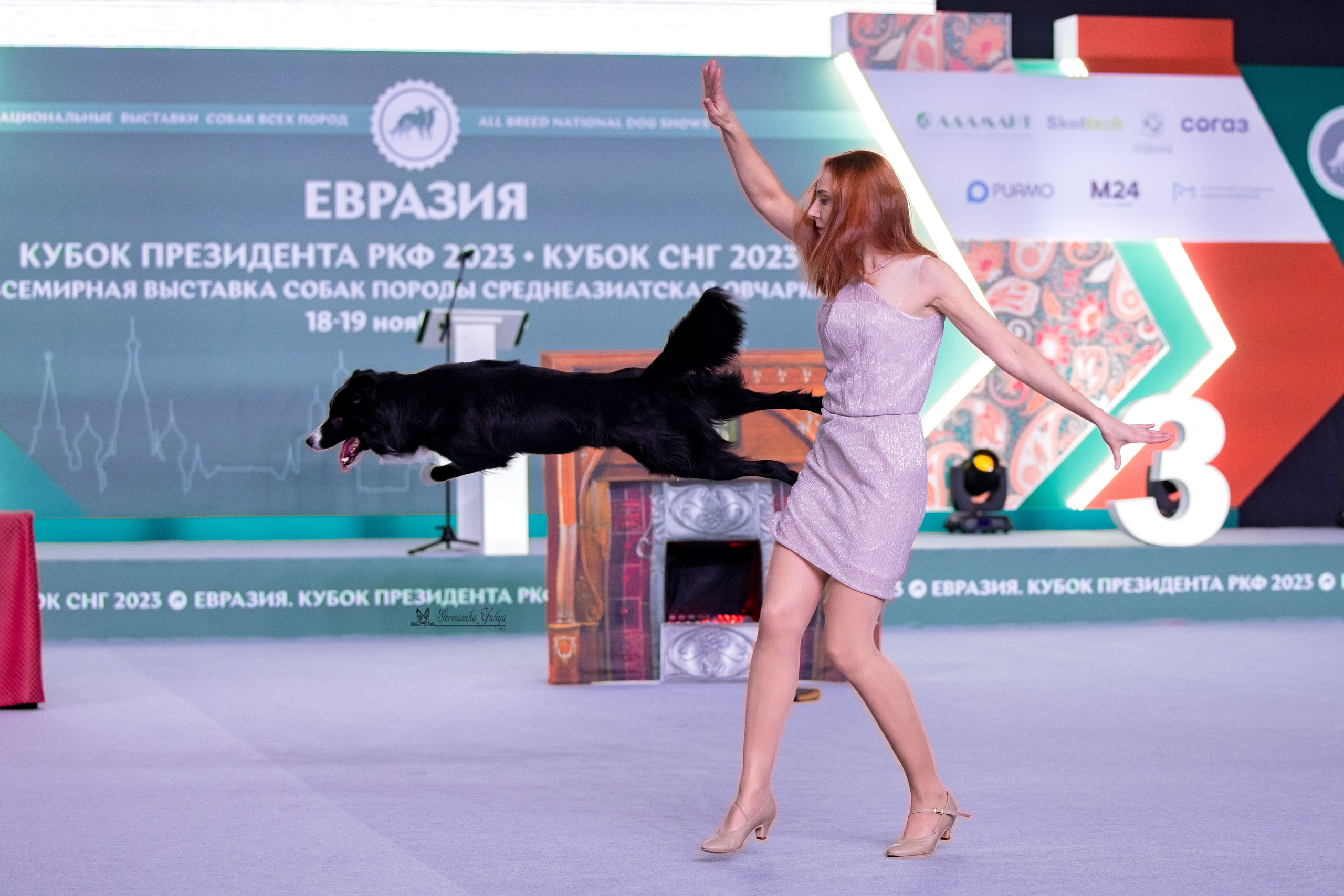 ЕВРАЗИЯ 18-19.11.2023. Фотограф-анималист Юлия Германика