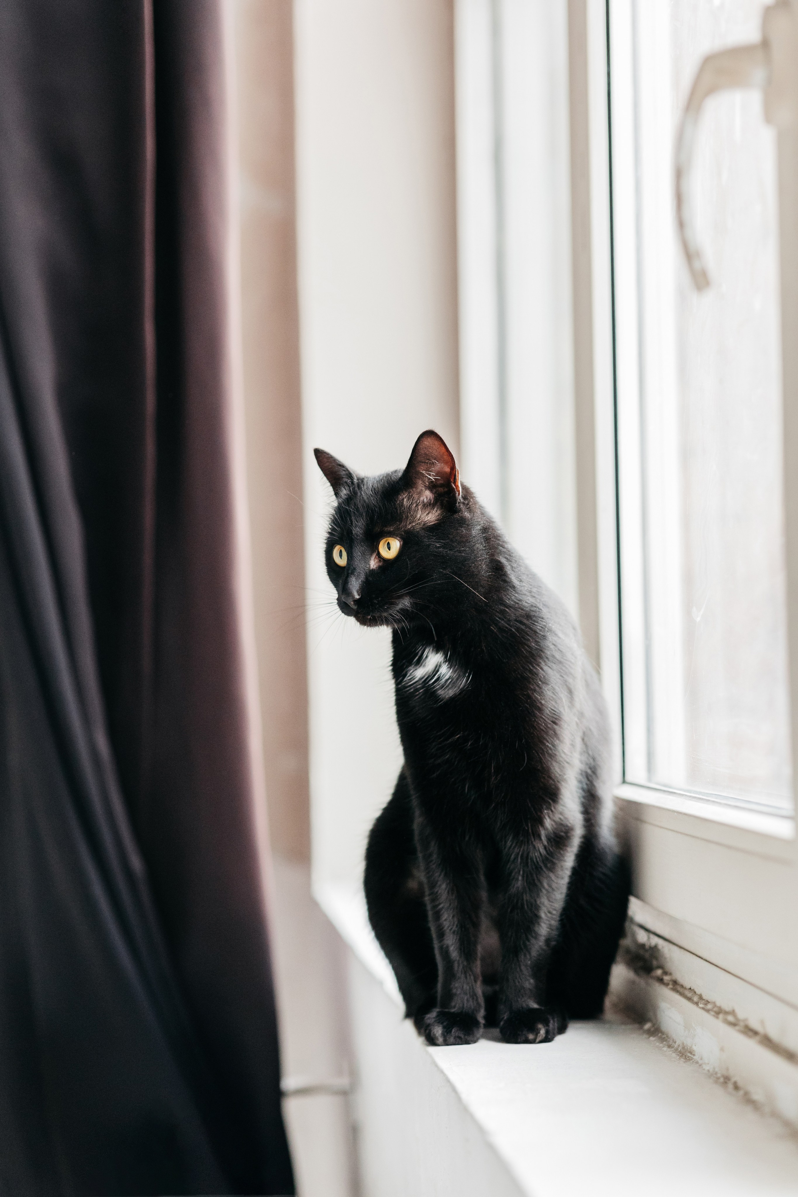 Кузя. Фотограф-анималист Елена Радченко, Москва