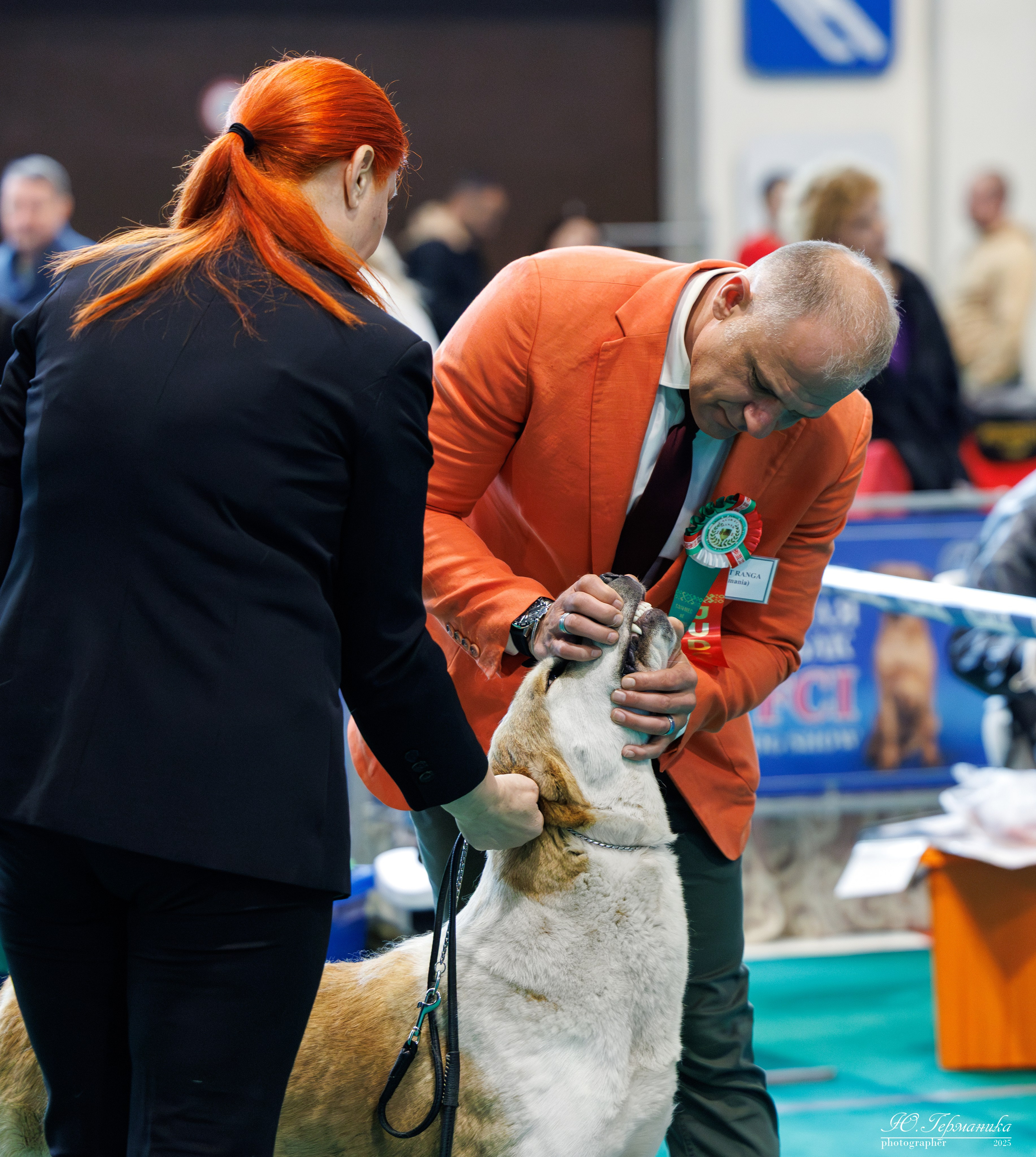 Минск 31.05-1.06.2025. Фотограф-анималист Юлия Германика
