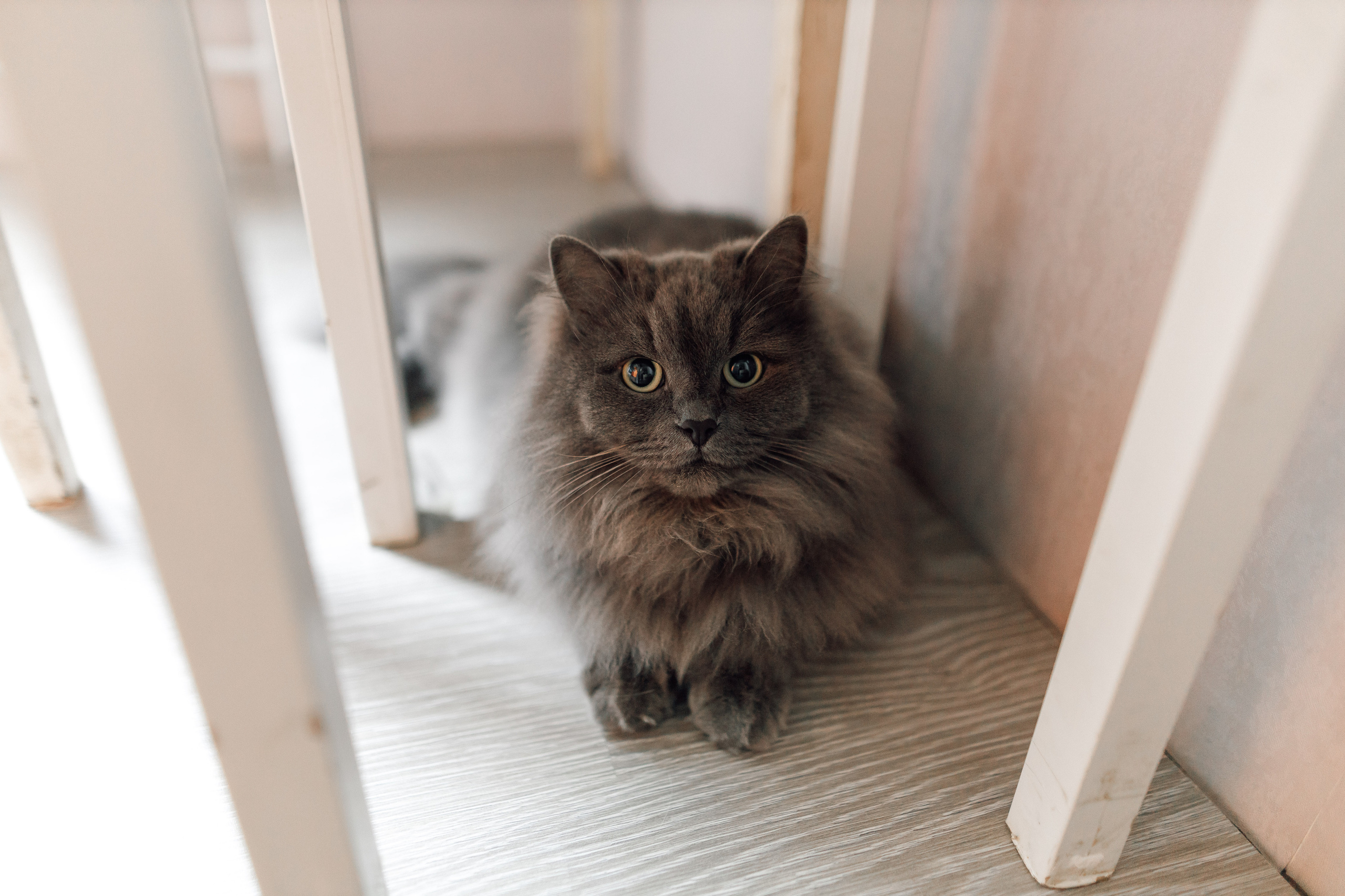 Кирилл & Аделина. Свадебный фотограф Михаил Александров