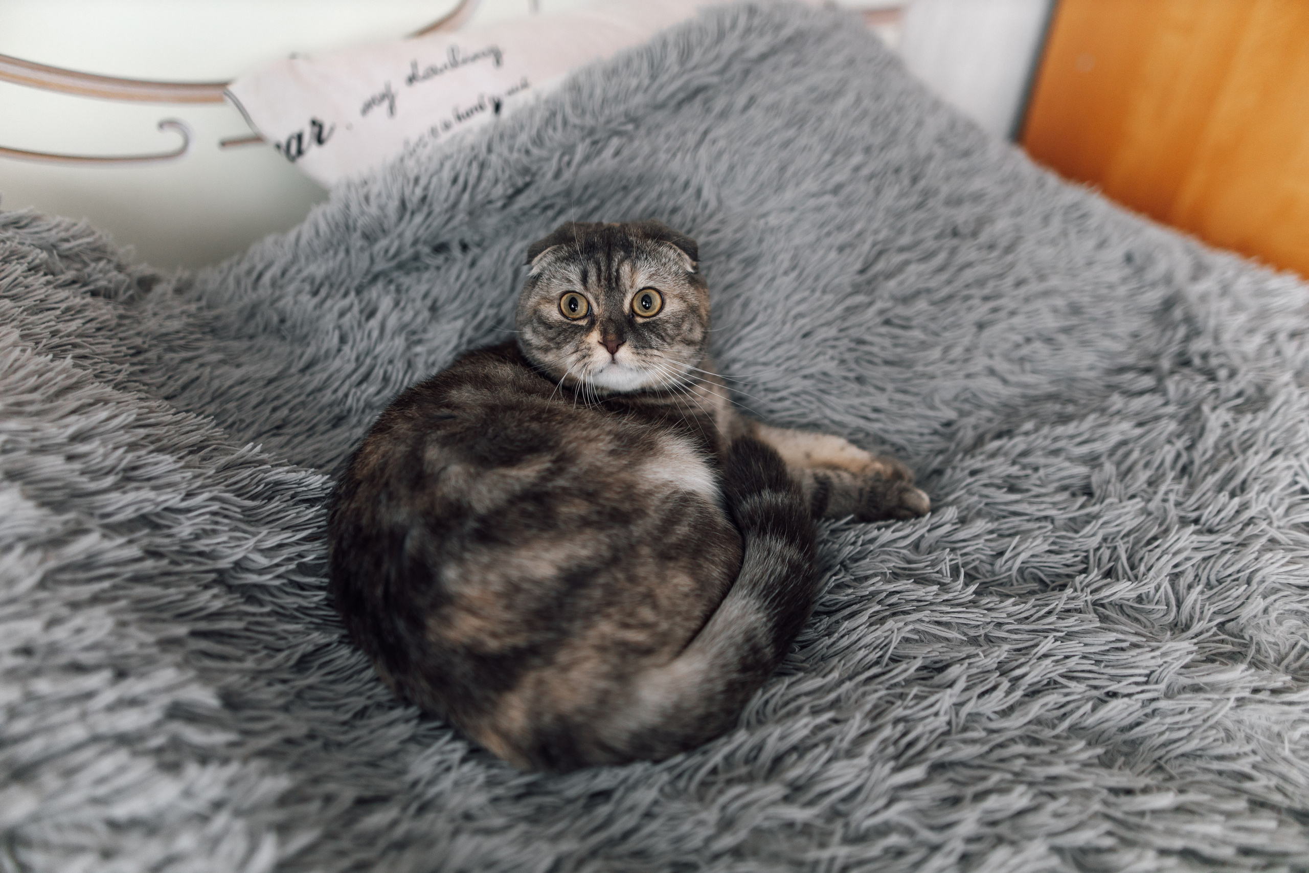 Наталия & Андрей. Свадебный фотограф Михаил Александров