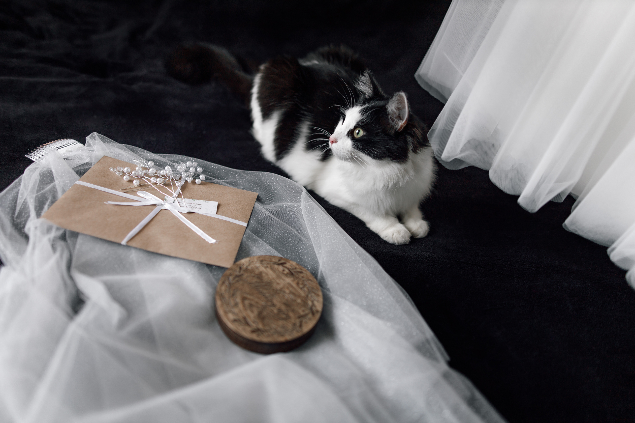 Кирилл & Аделина. Свадебный фотограф Михаил Александров