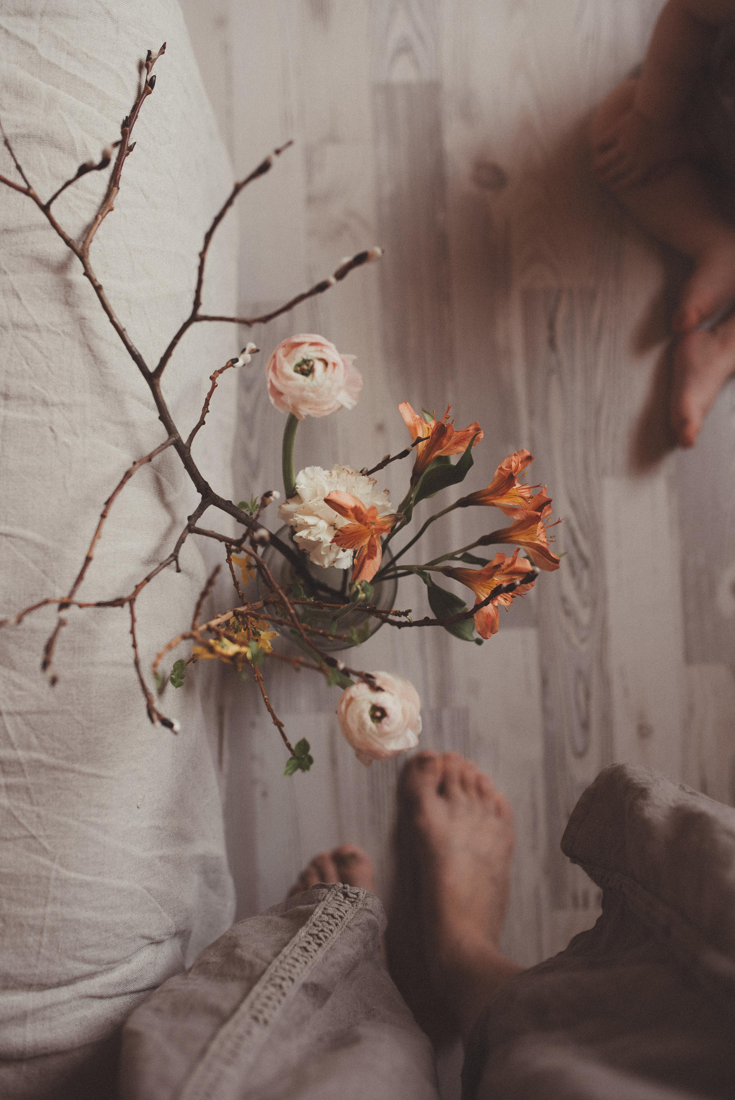 Зимний март. Главная