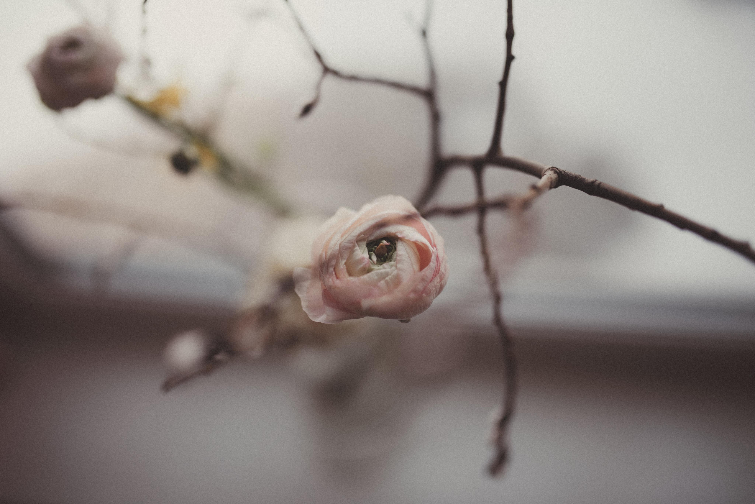 Зимний март. Главная