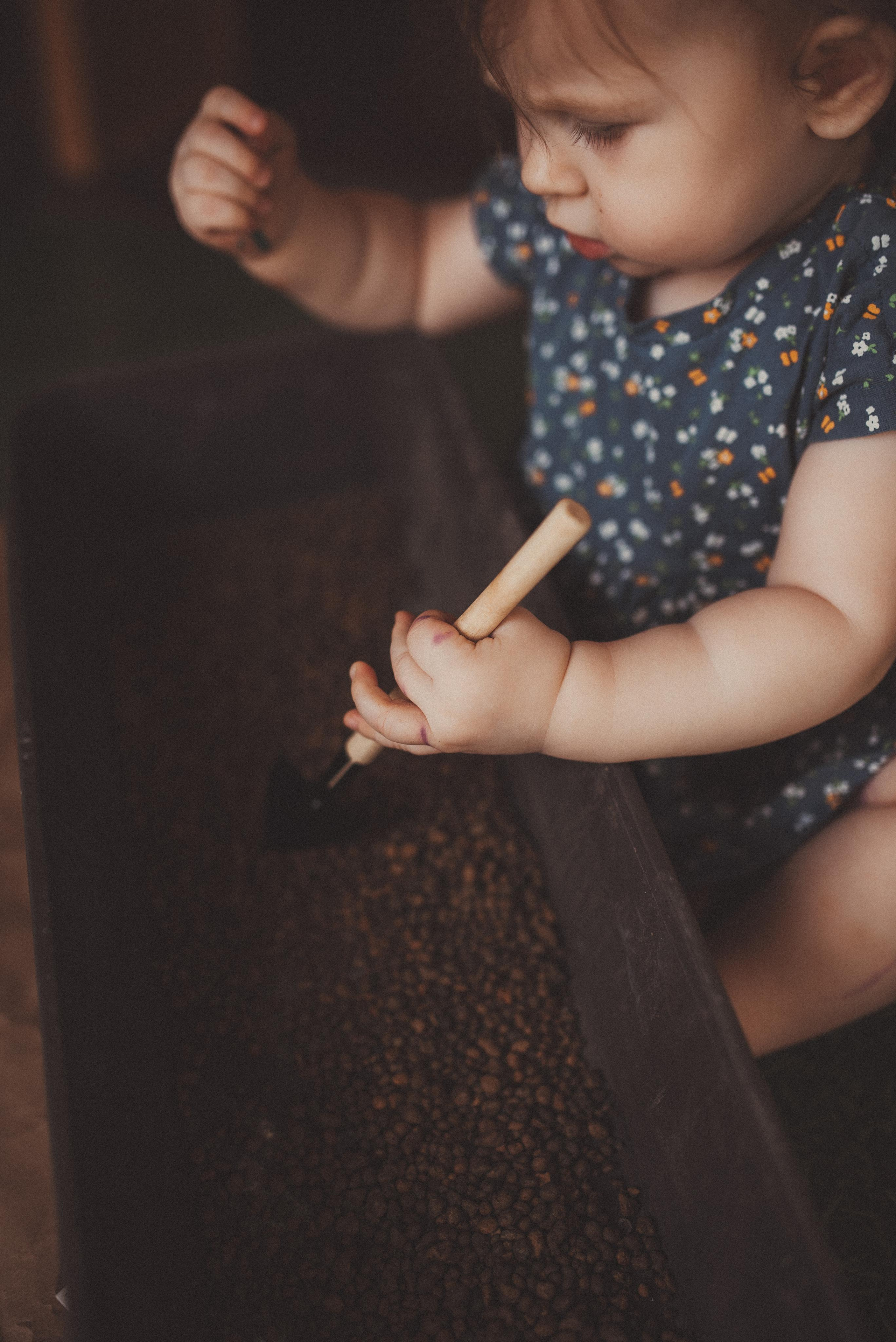 Цветы. Начало. Главная