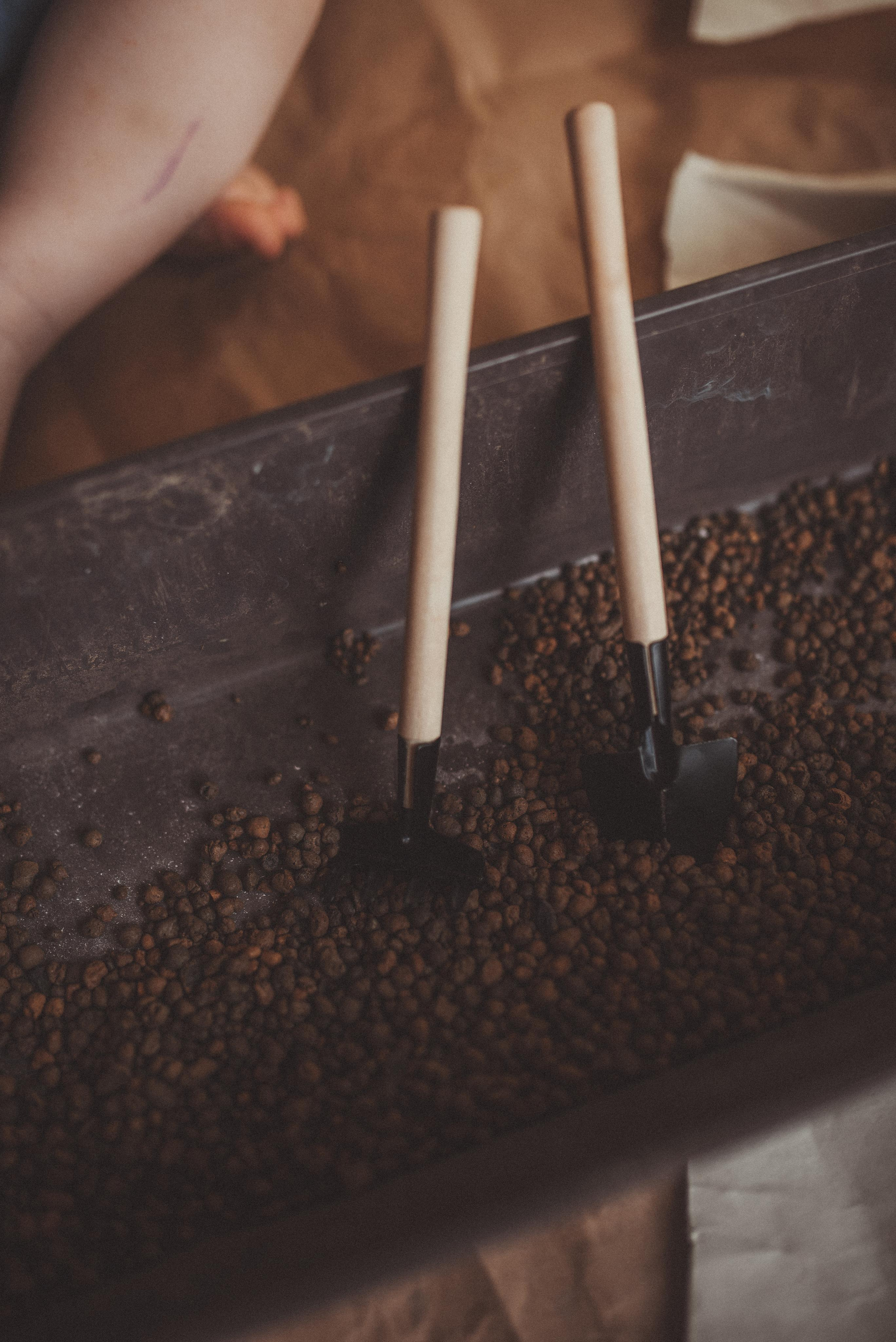 Цветы. Начало. Главная