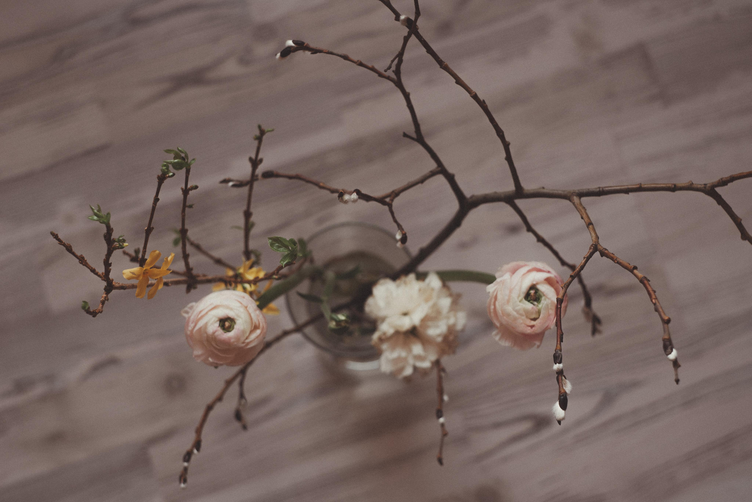 Зимний март. Главная