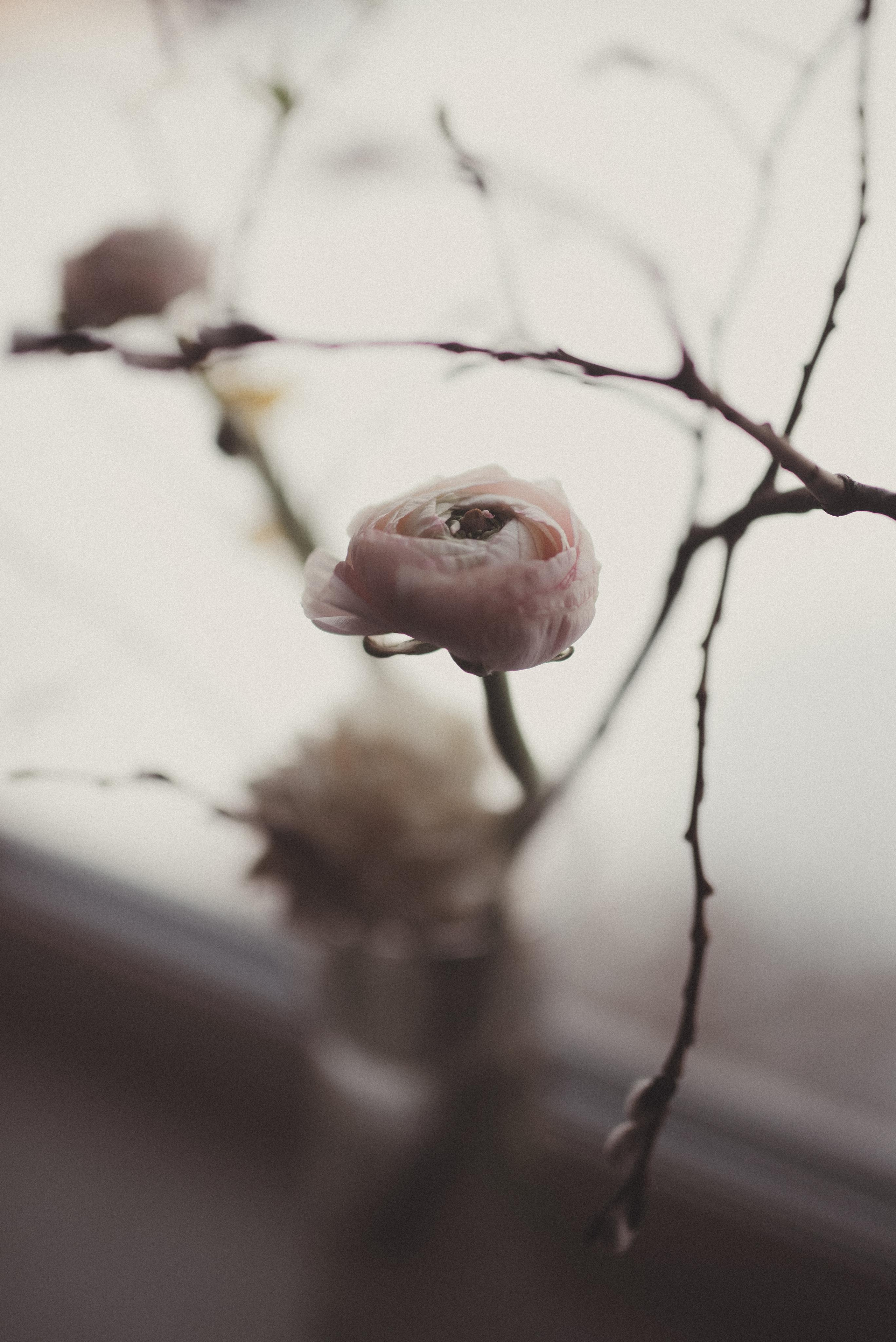 Зимний март. Главная