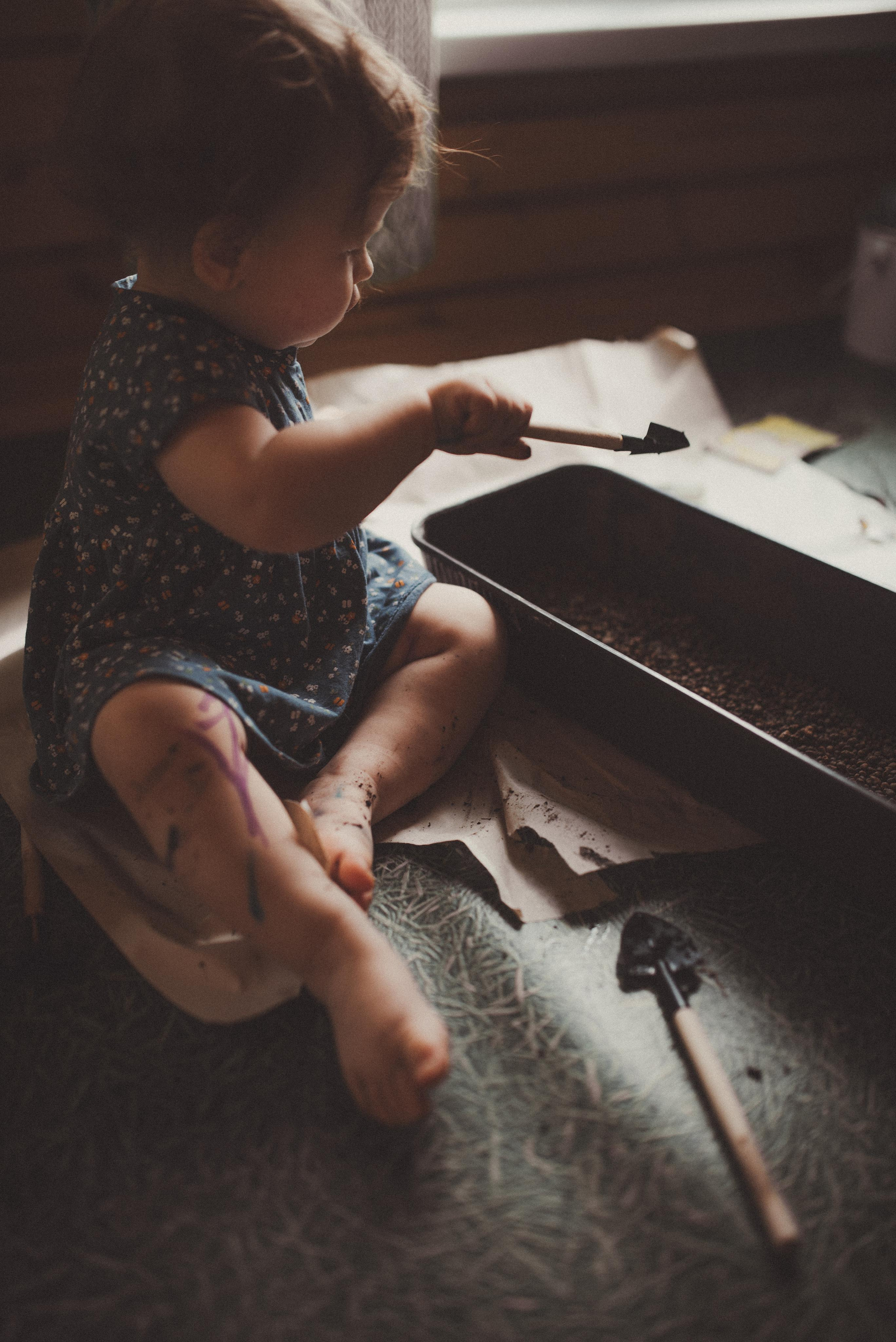 Цветы. Начало. Главная