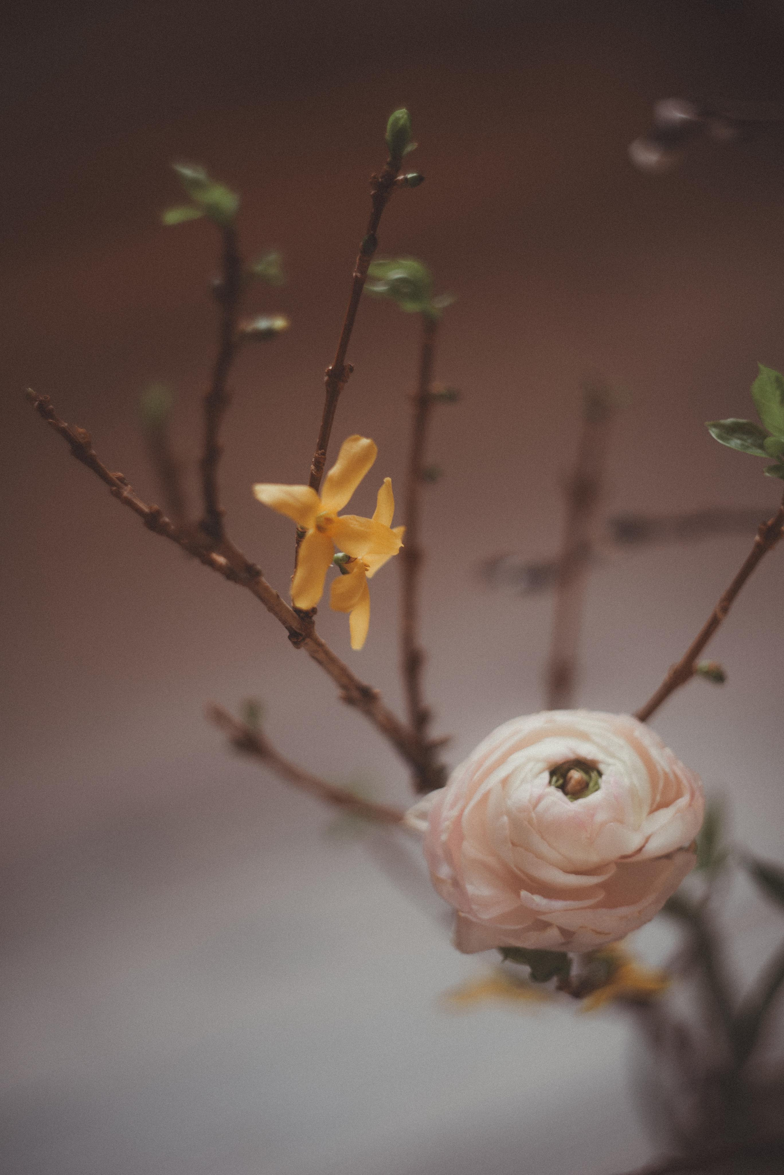 Зимний март. Главная