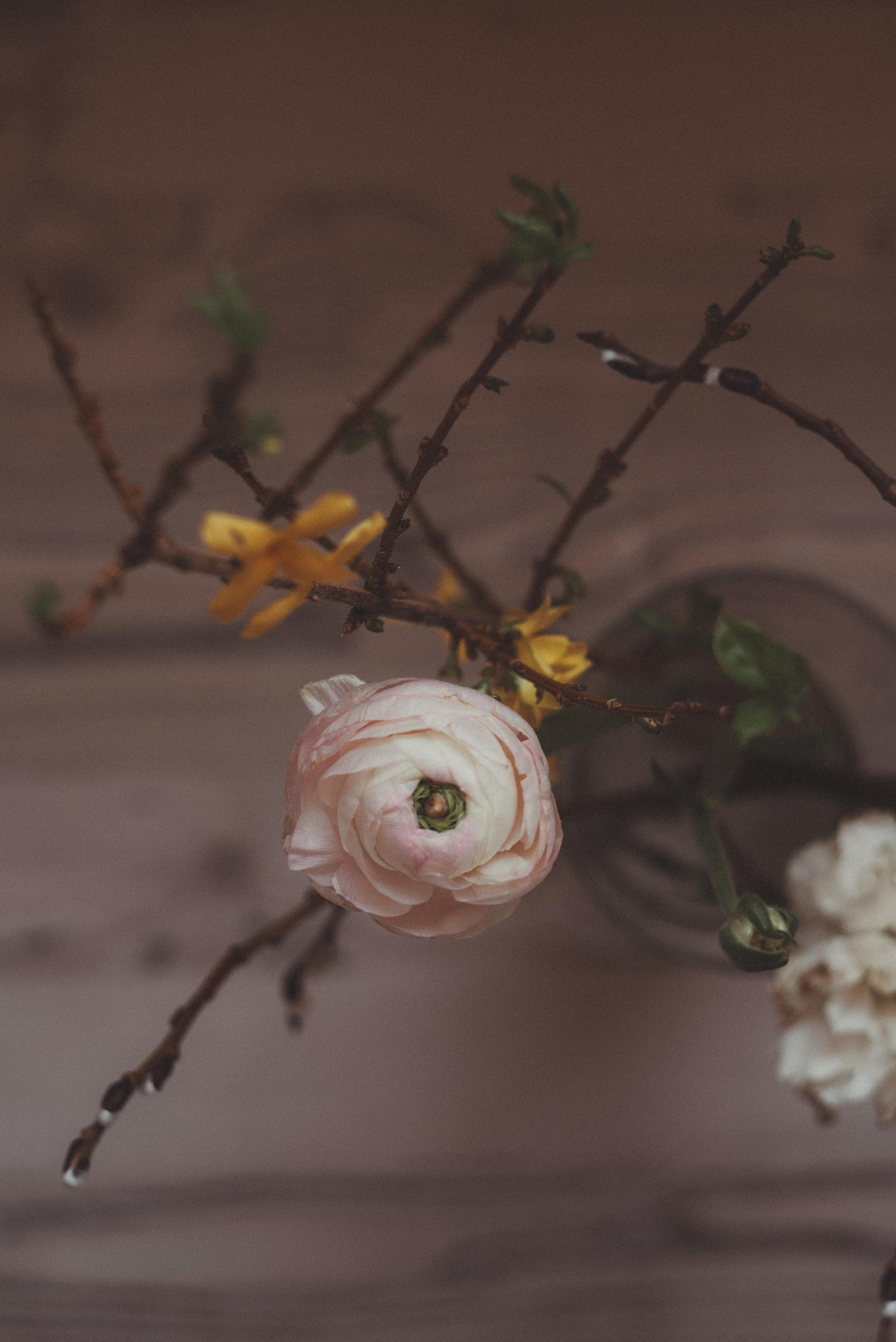 Зимний март. Главная