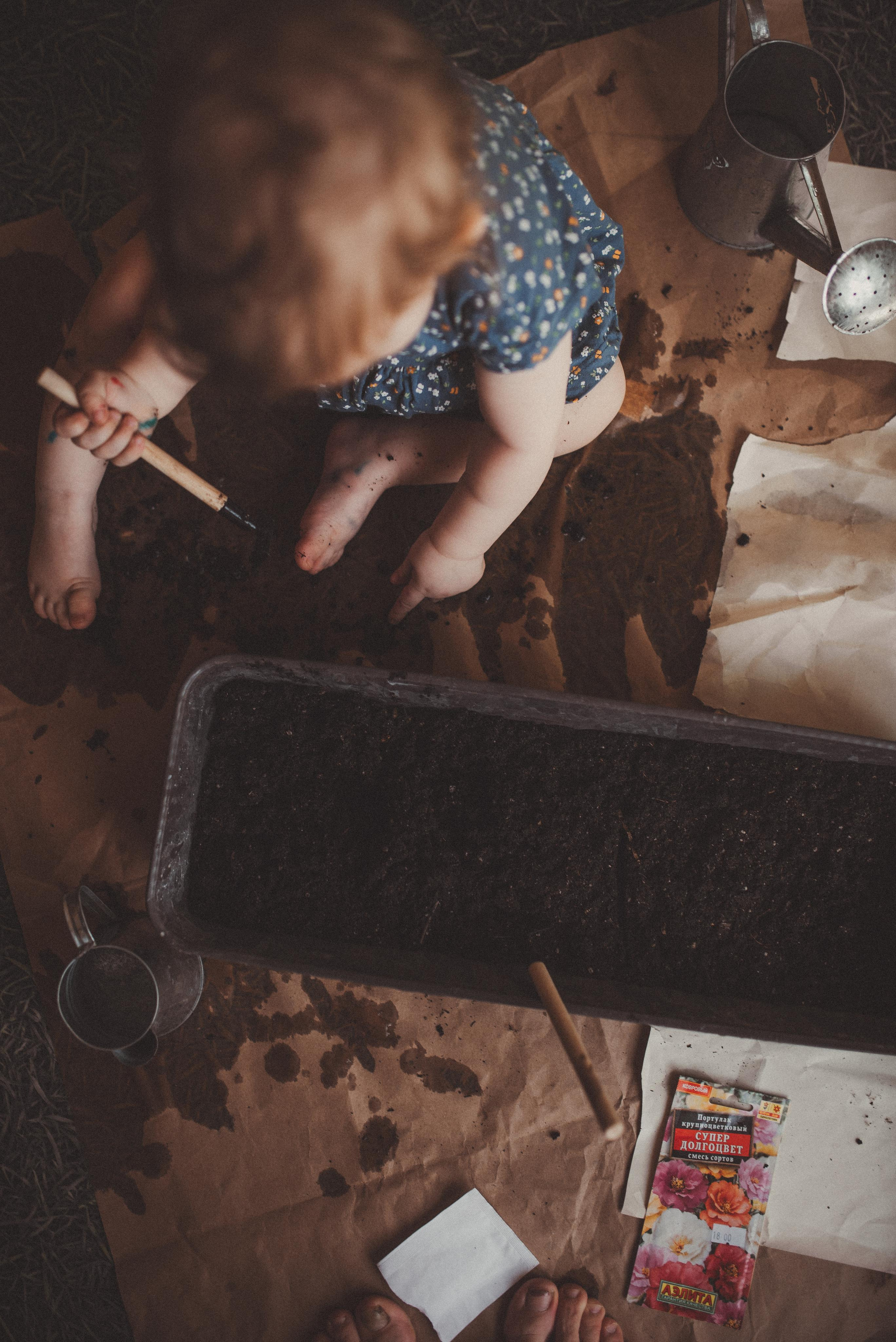 Цветы. Начало. Главная