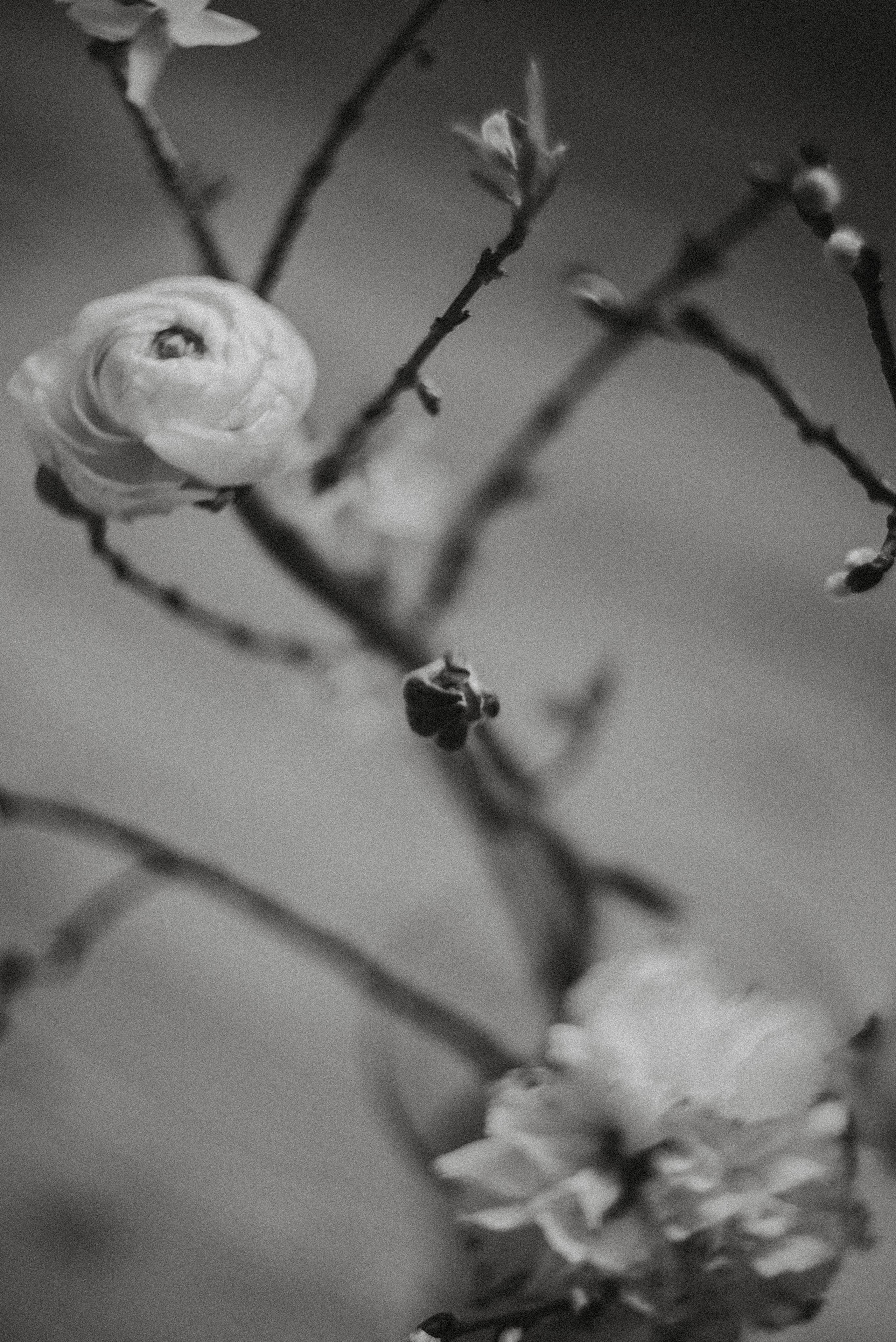 Зимний март. Главная