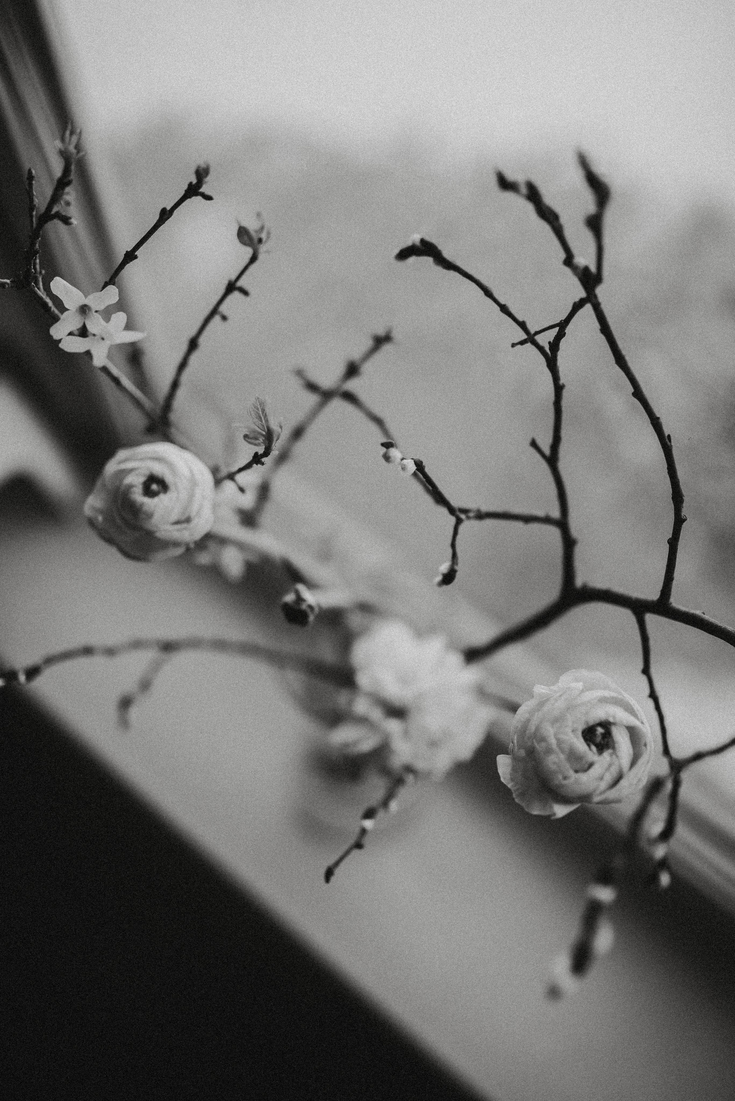 Зимний март. Главная