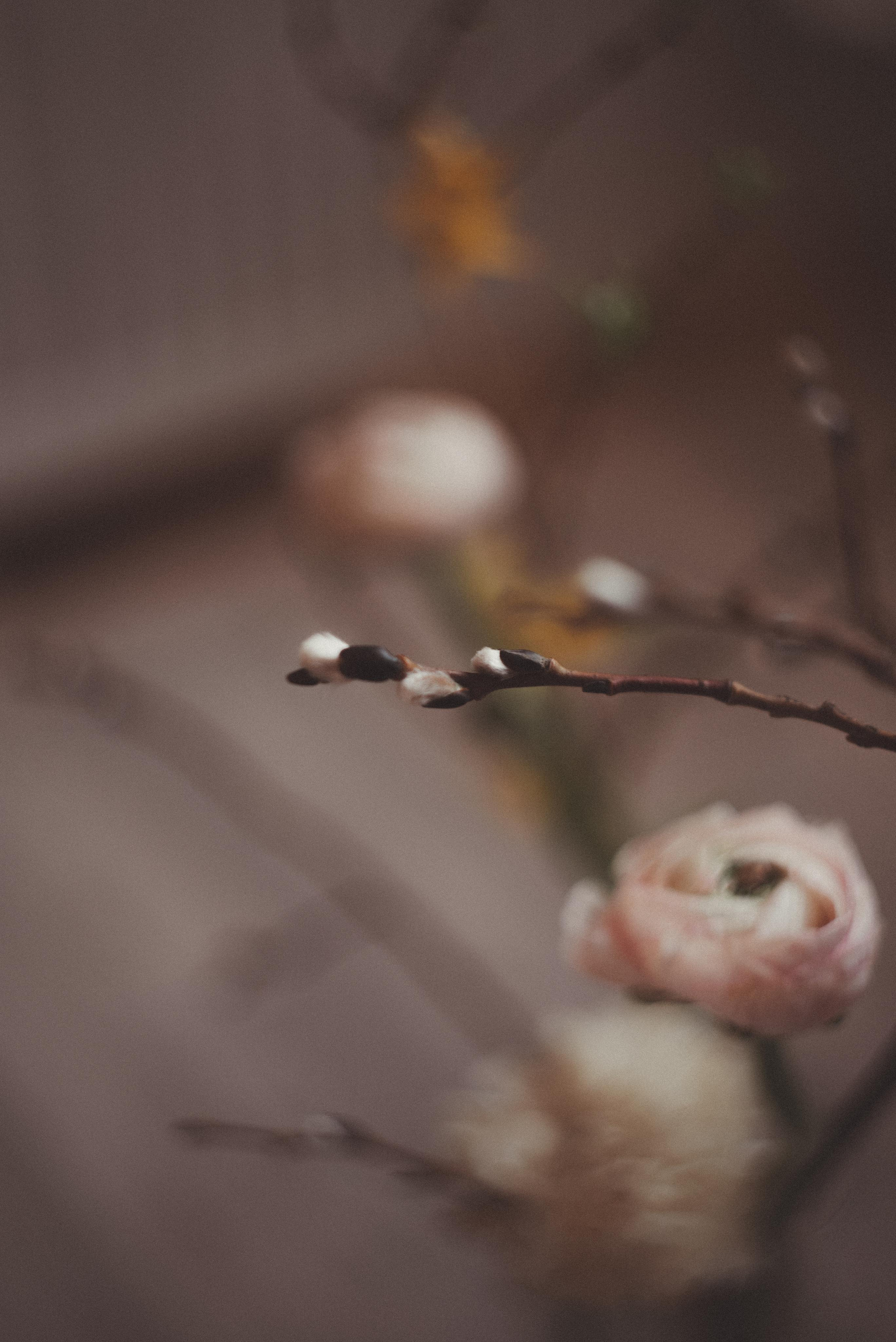 Зимний март. Главная