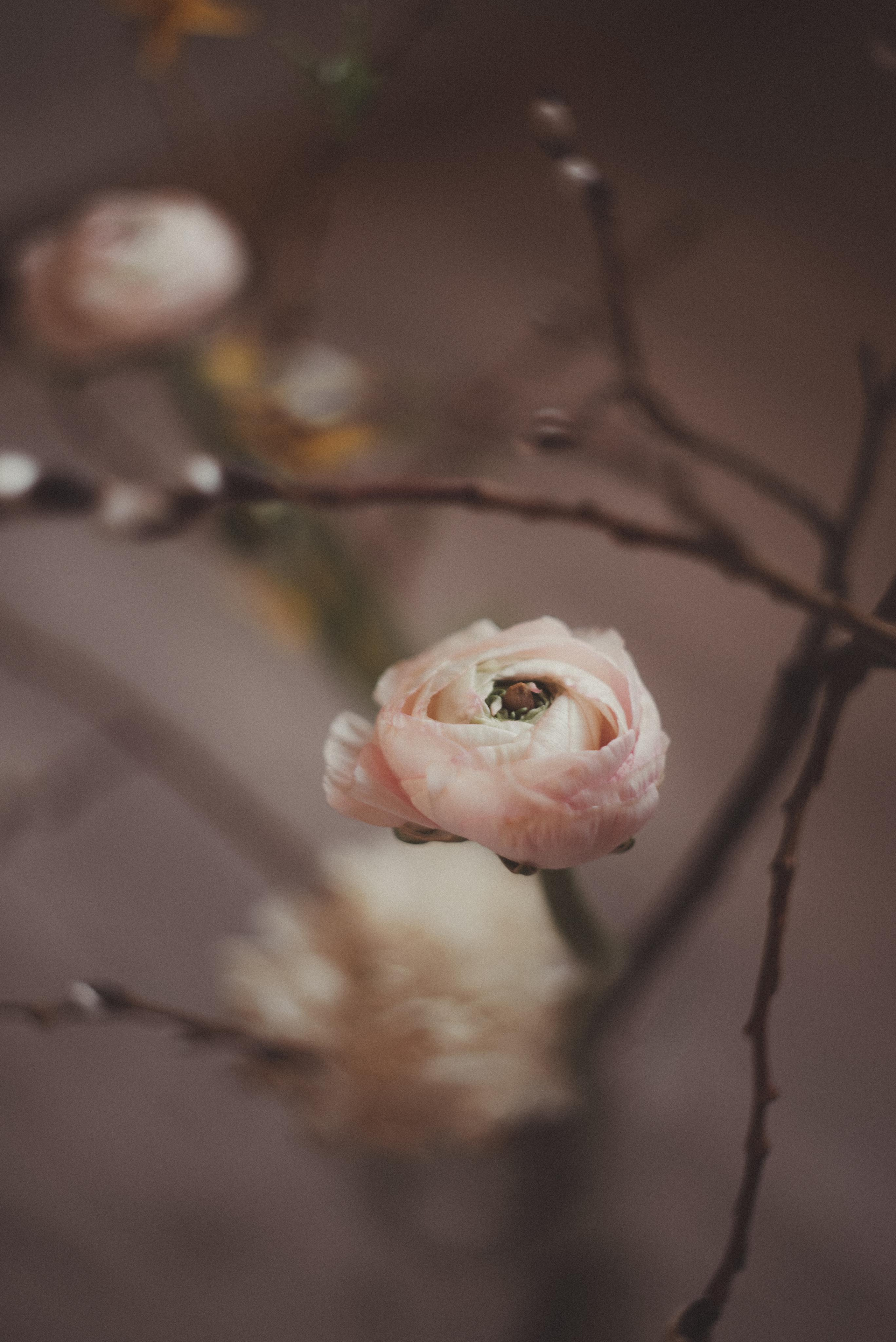 Зимний март. Главная