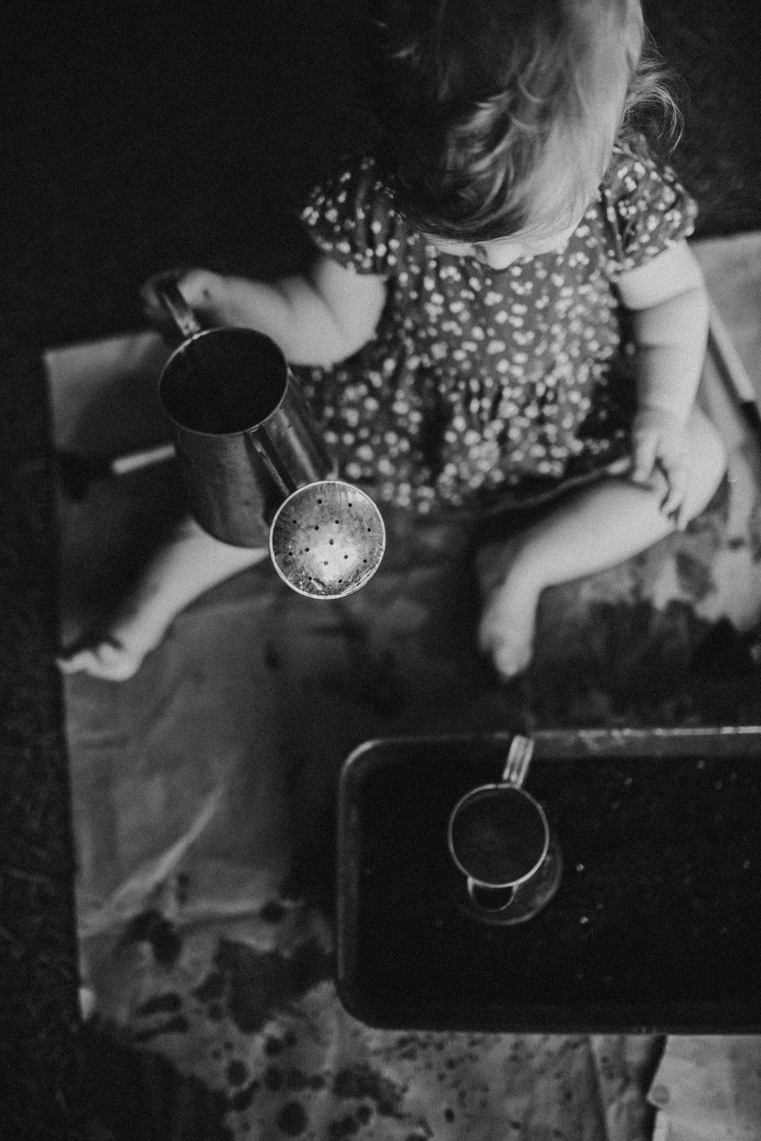 Цветы. Начало. Главная