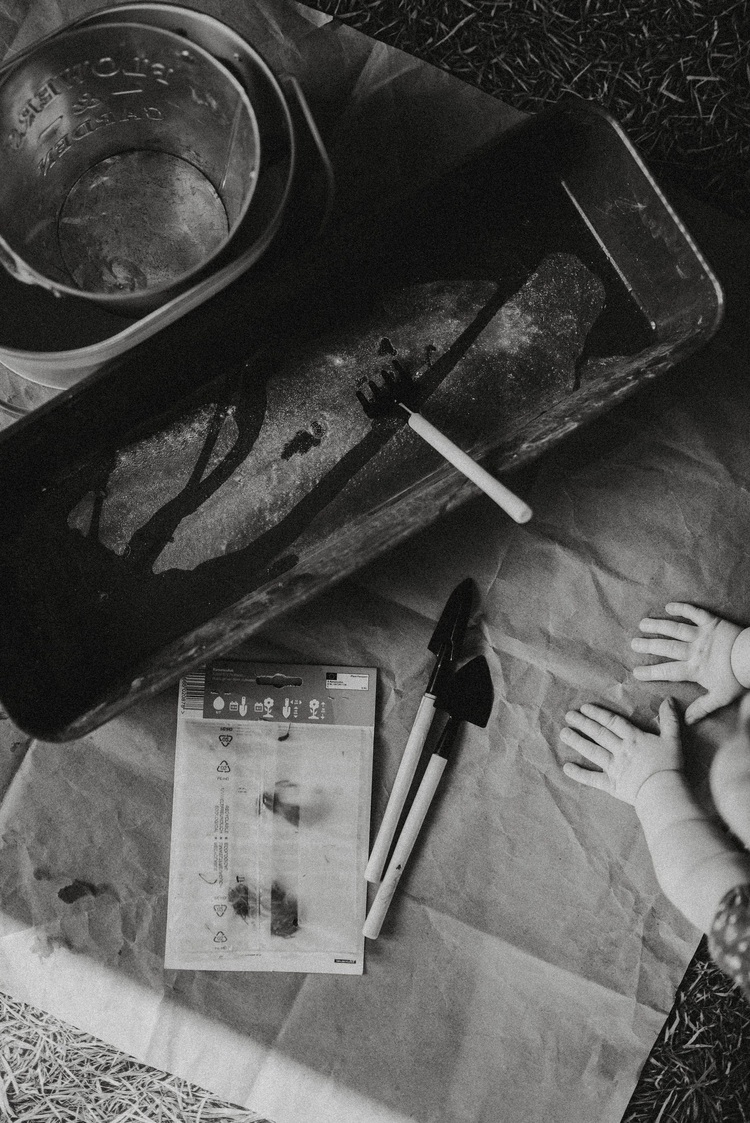 Цветы. Начало. Главная