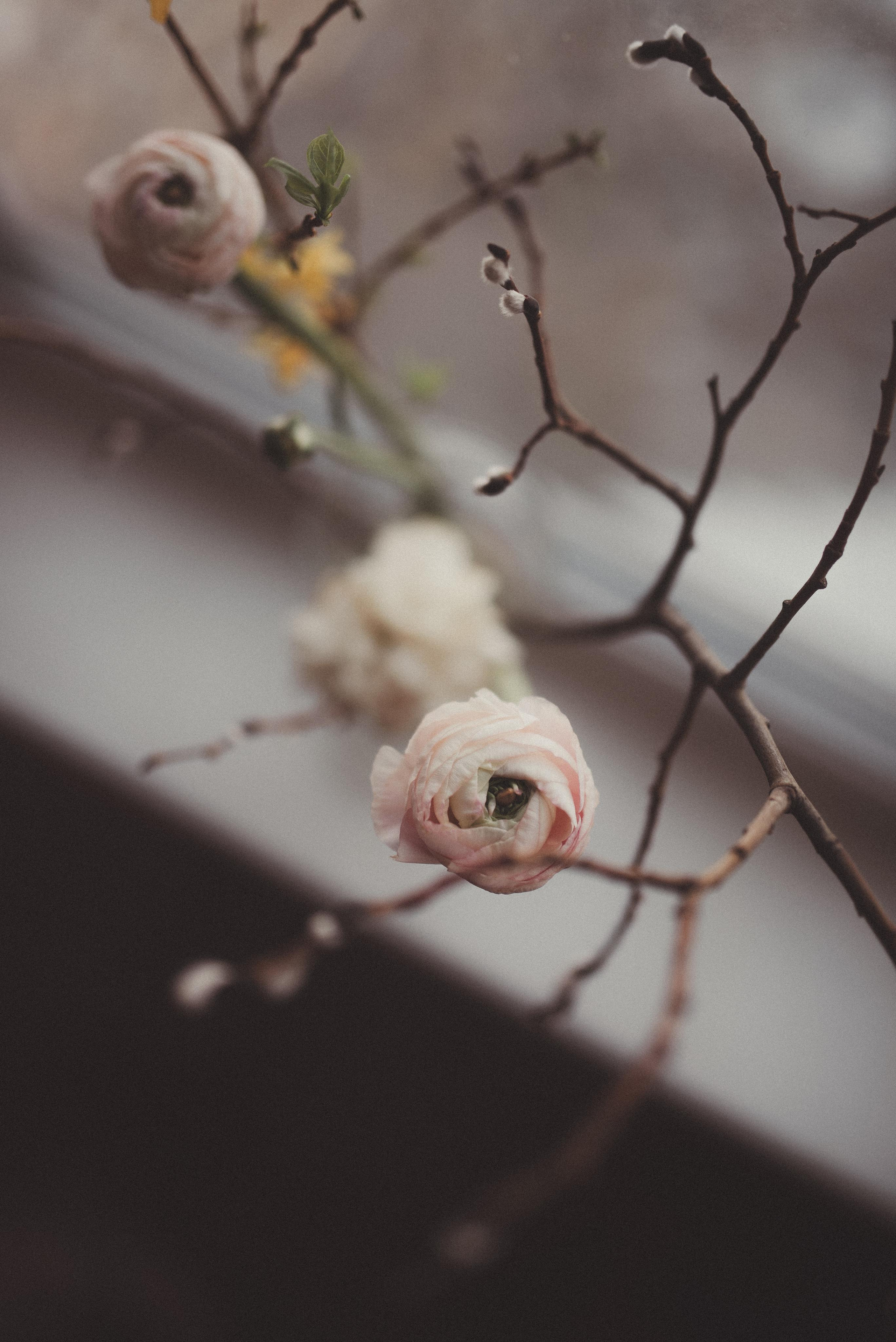 Зимний март. Главная