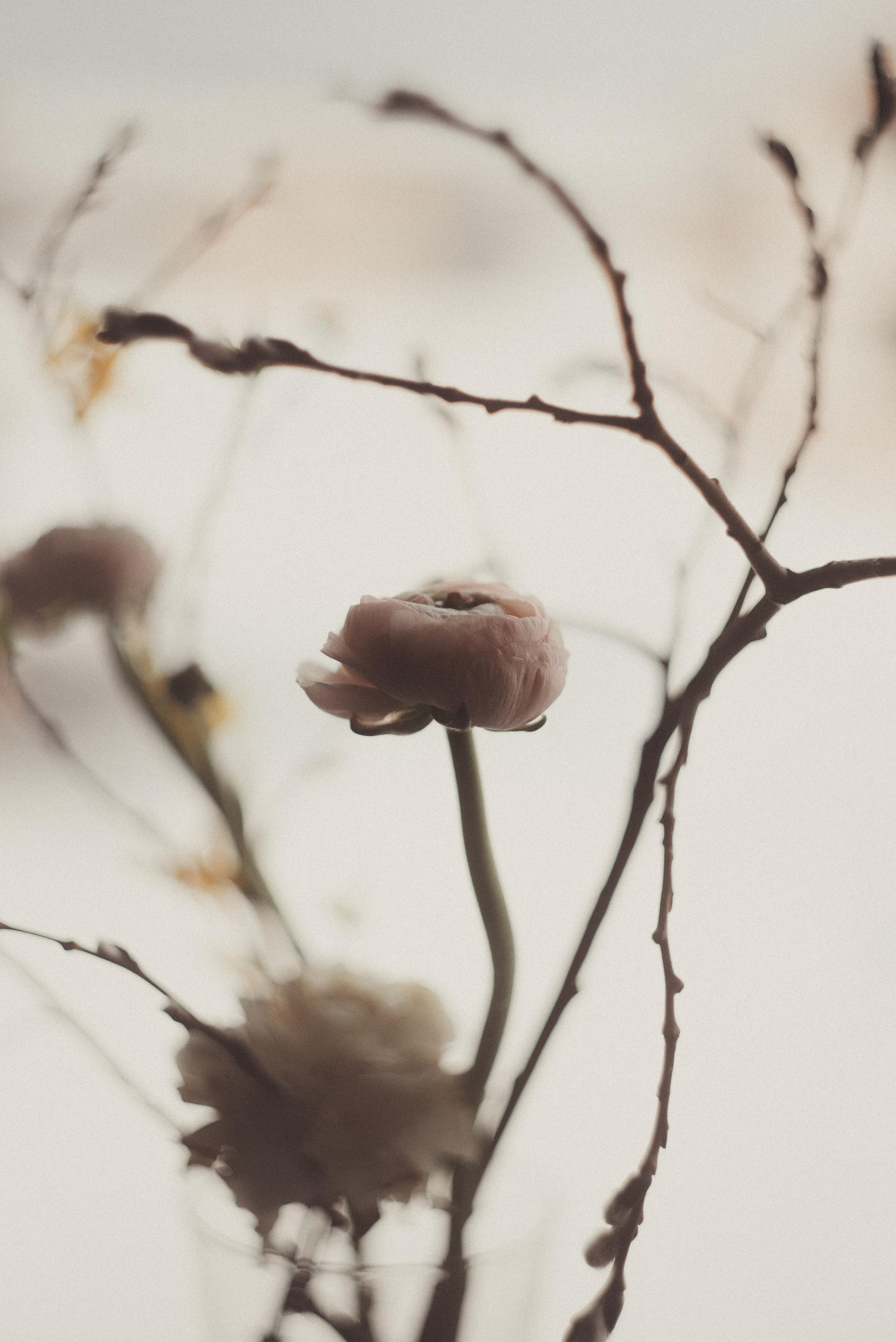 Зимний март. Главная