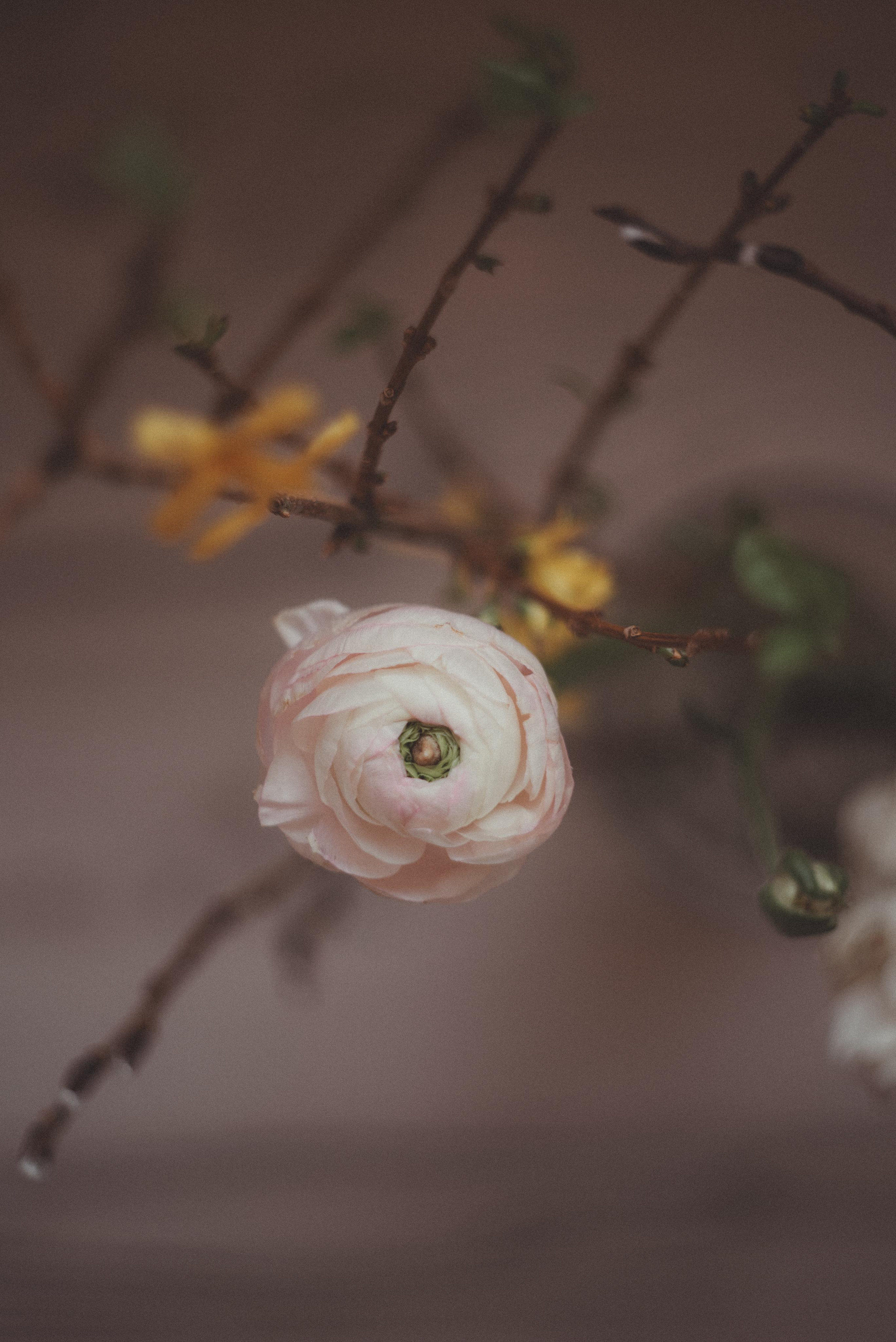 Зимний март. Главная