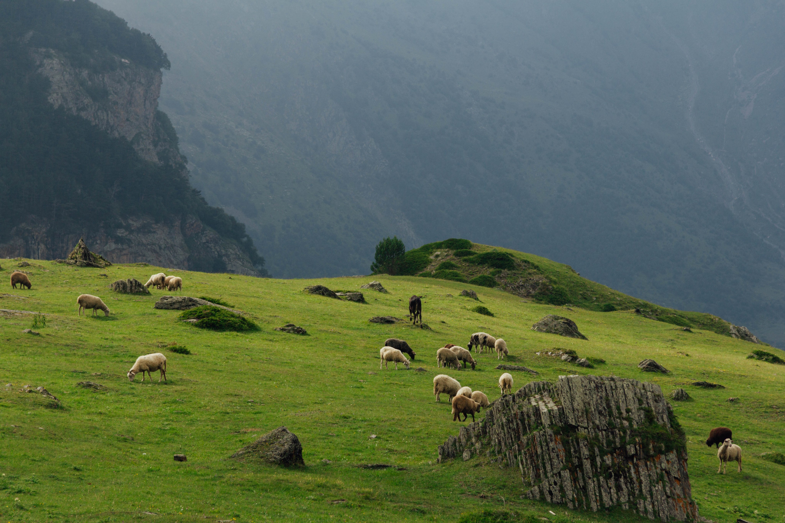 Уштулу. GIGI TOUR