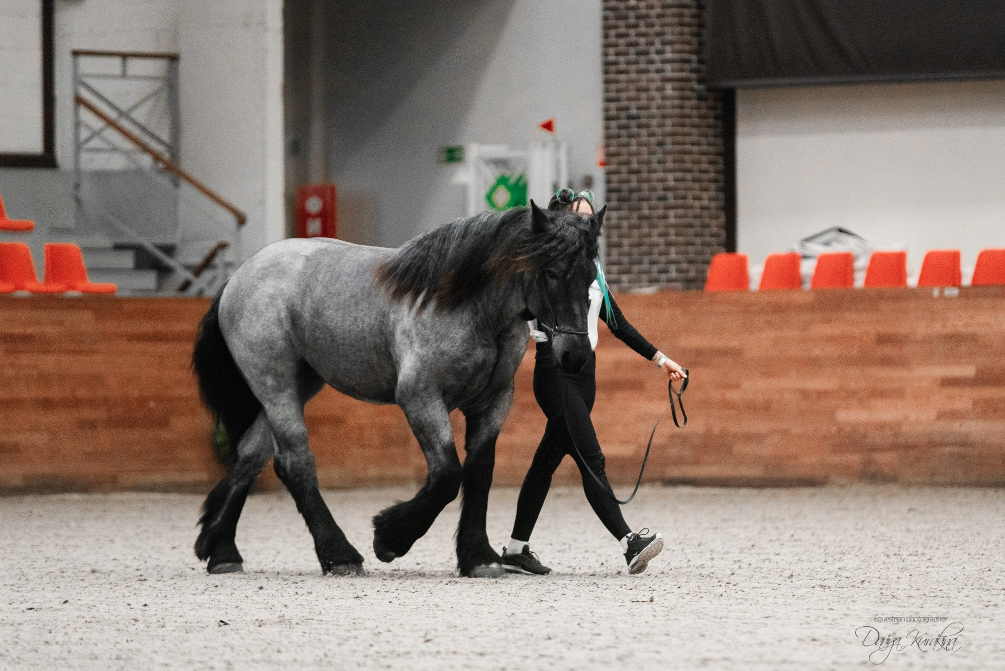8-я международная выставка Конная Россия. Конный фотограф Куракина Дарья • Фотосессии с лошадьми