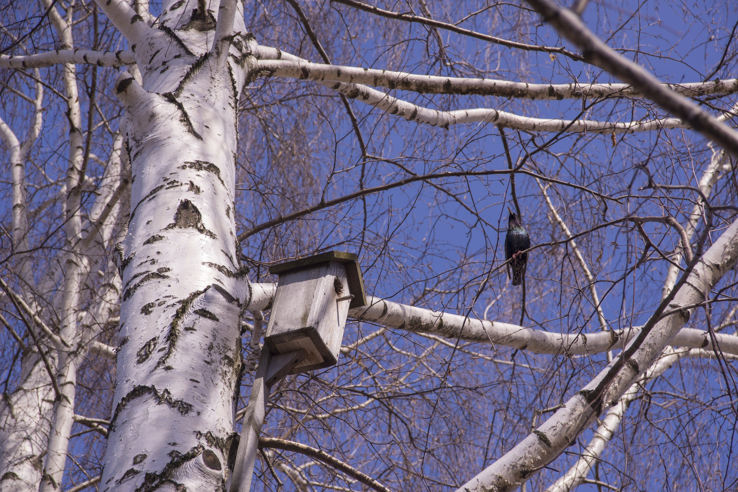 Кидекша. Апрель 2021. Игорь Жучков. Россия увиденная глазами путешествующего фотографа