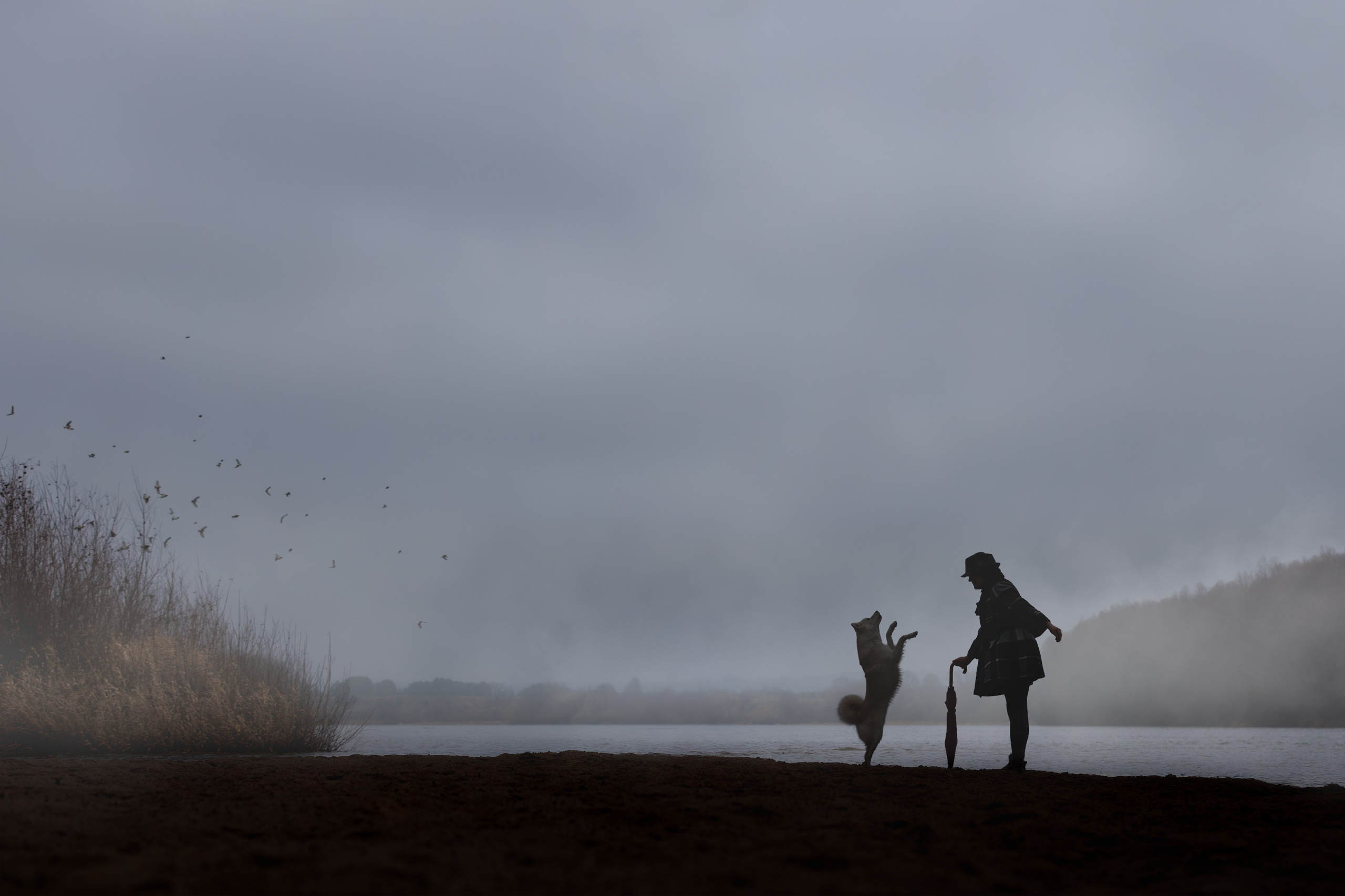 На природе и в городе. Фотограф-анималист в Калуге Мария Шерскова