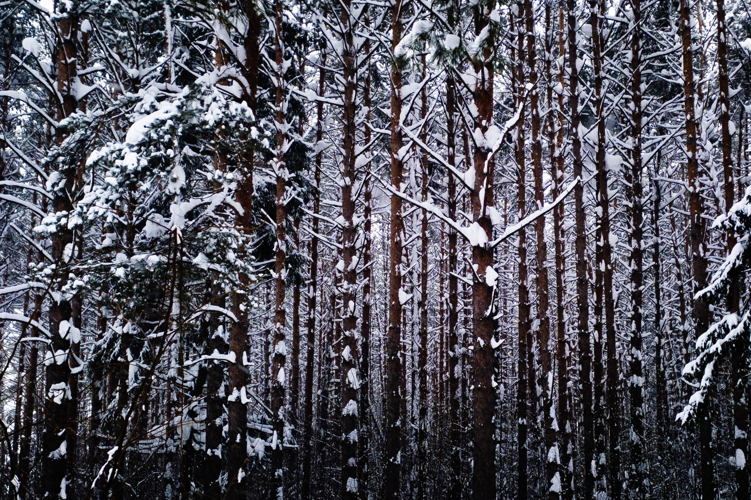 Интимный пейзаж. Олег Романов. Мастер фото по спорту