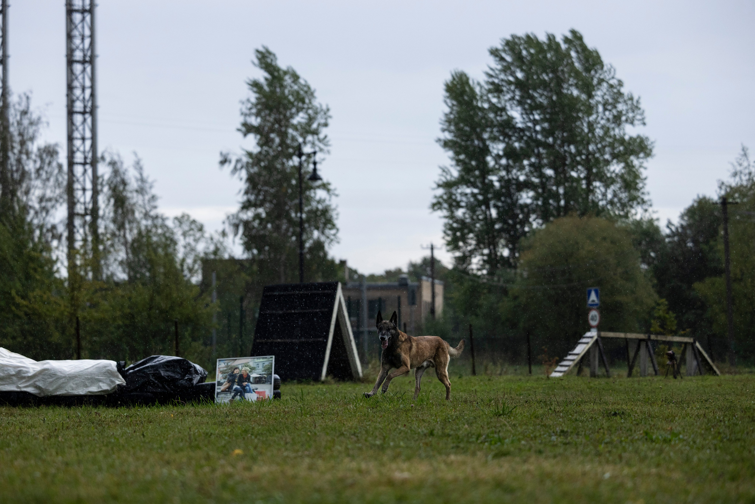 Испытания по Мондьорингу г. Пушкин. Фотограф-анималист Анна Маринич