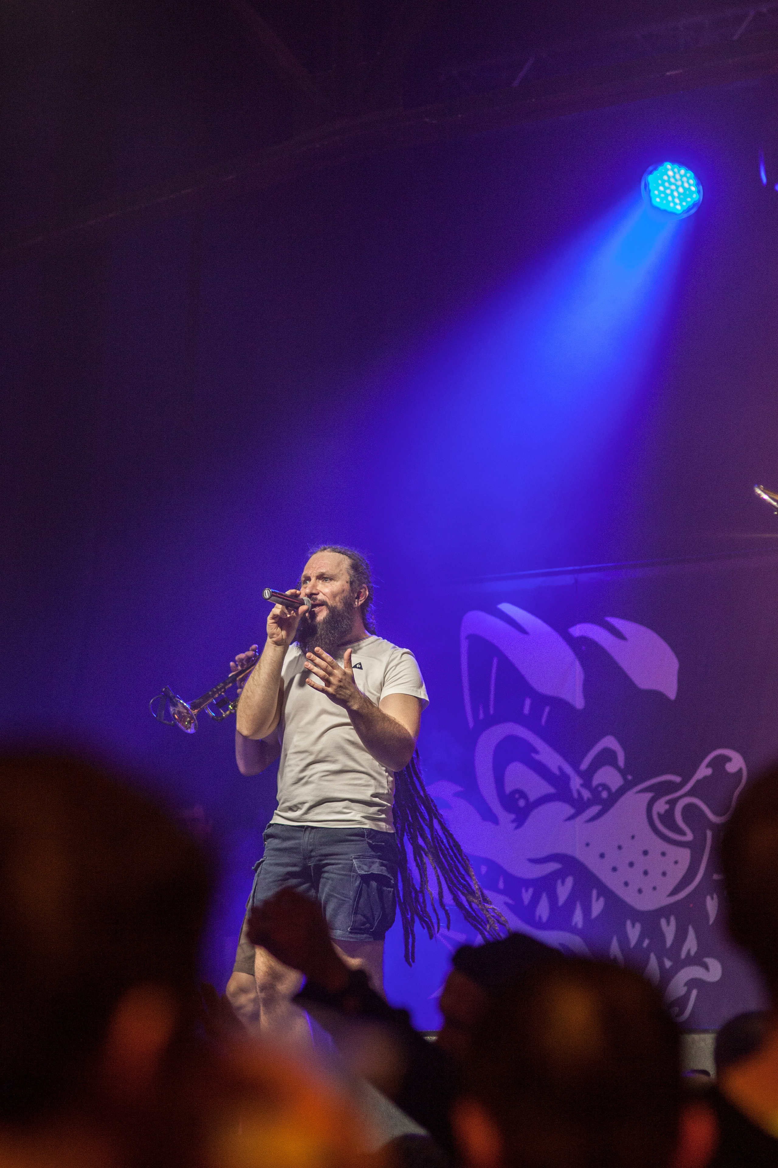 Distamper. Твой фотограф — Полосатый кот