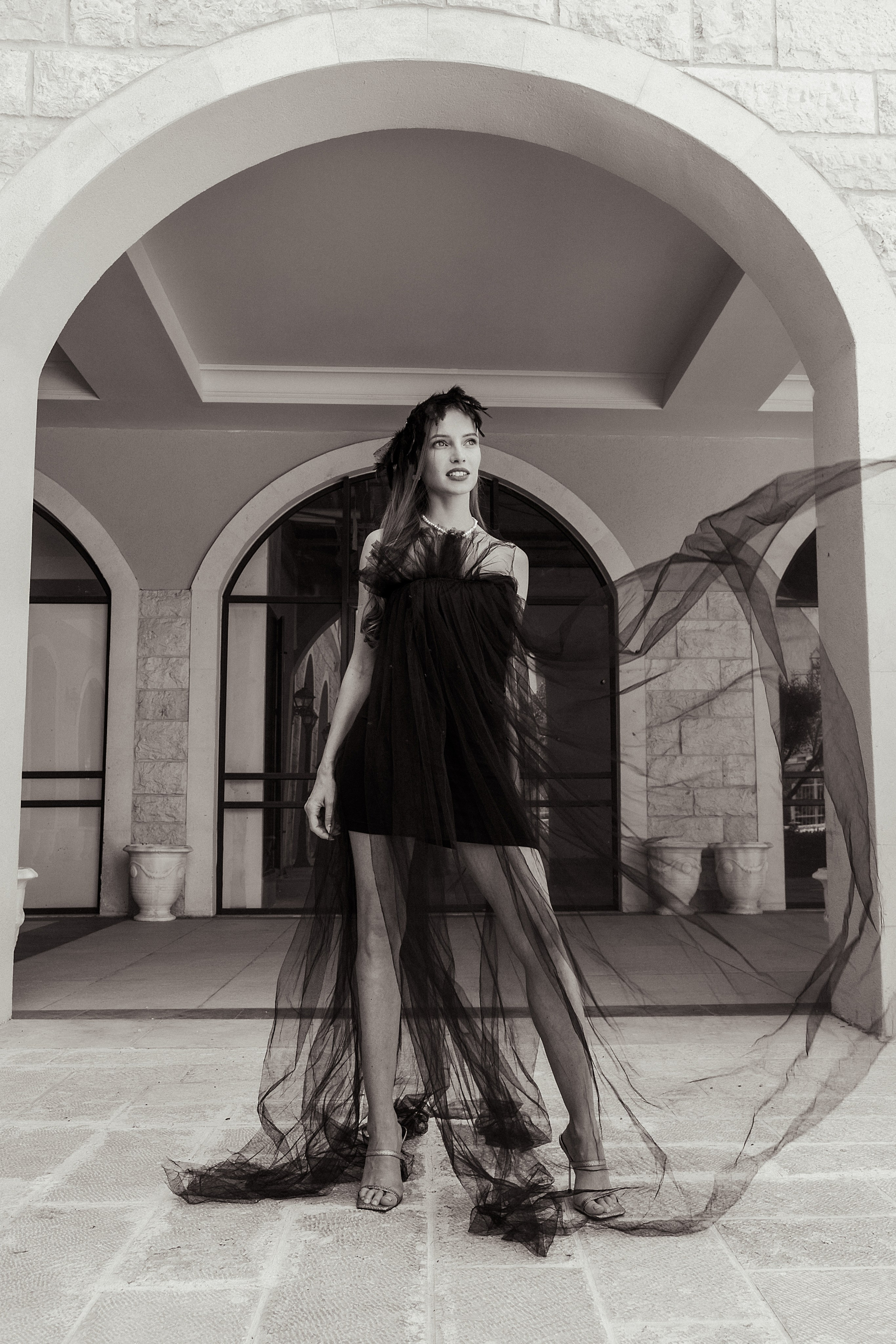 Черный лебедь. Фотограф Тимофеева Любовь