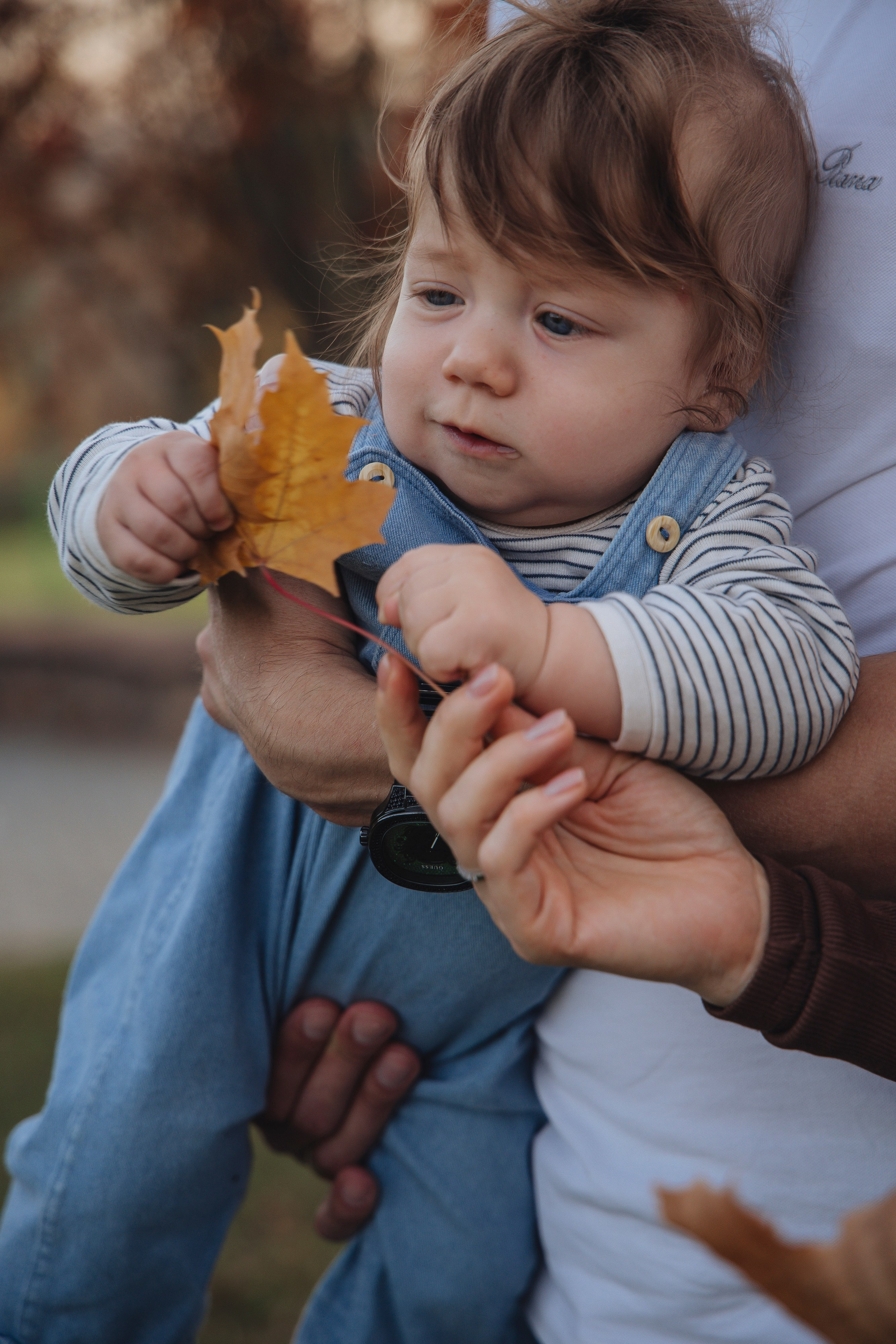 Наша теплая осень. Фотограф Новосибирск