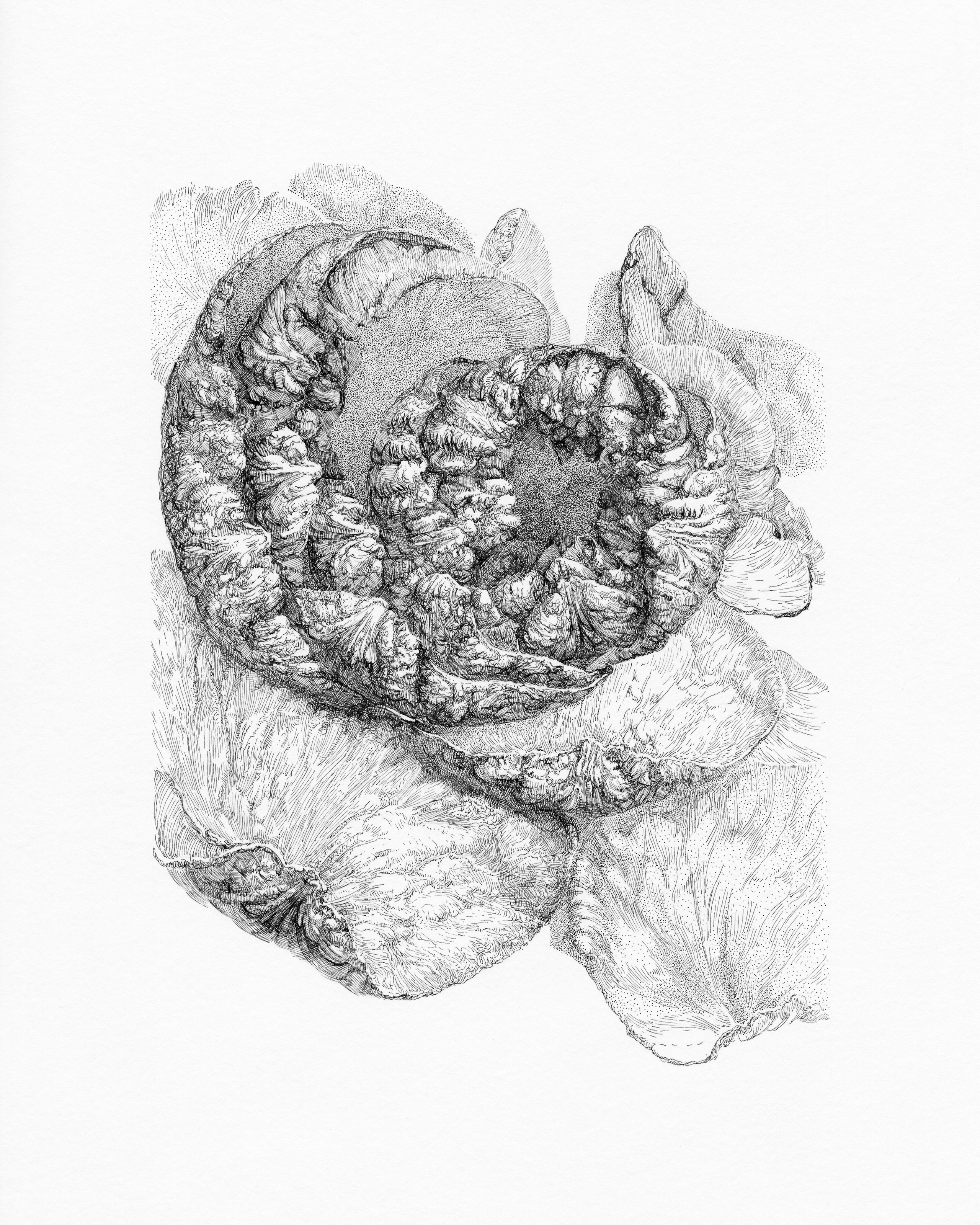 Nadezhda Polomoshnova, fine artist in Charleston