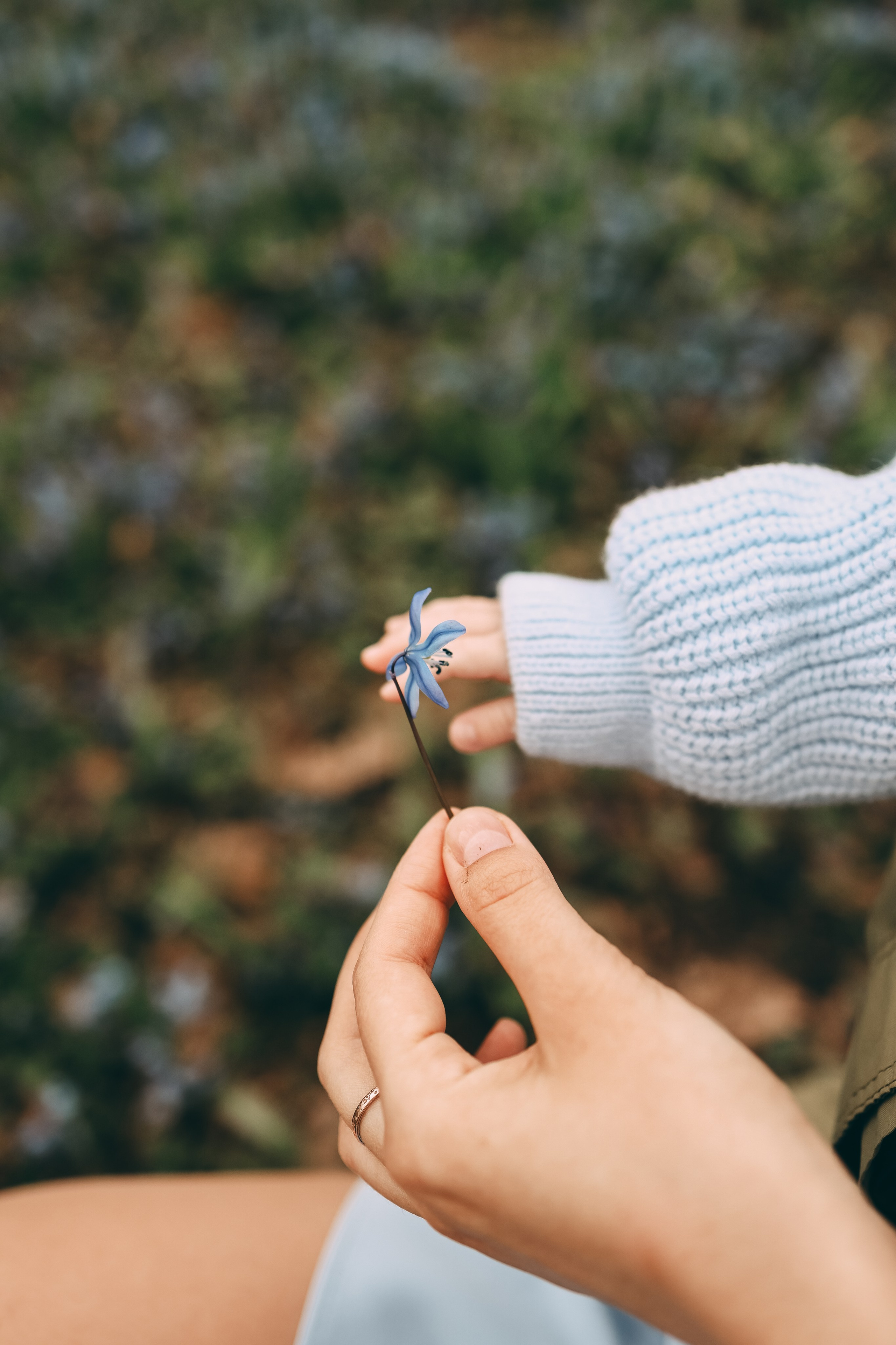 Маргарита, Василиса и Сергей. Свадебный и семейный фотограф в Воронеже Ксения Воротникова